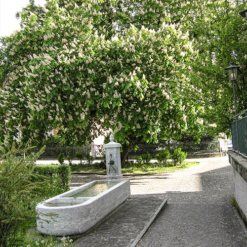 Sprudelnde Quellen, plätschernde Brunnen