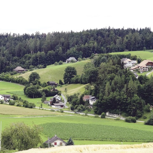 Wasser aus der öffentlichen Leitung