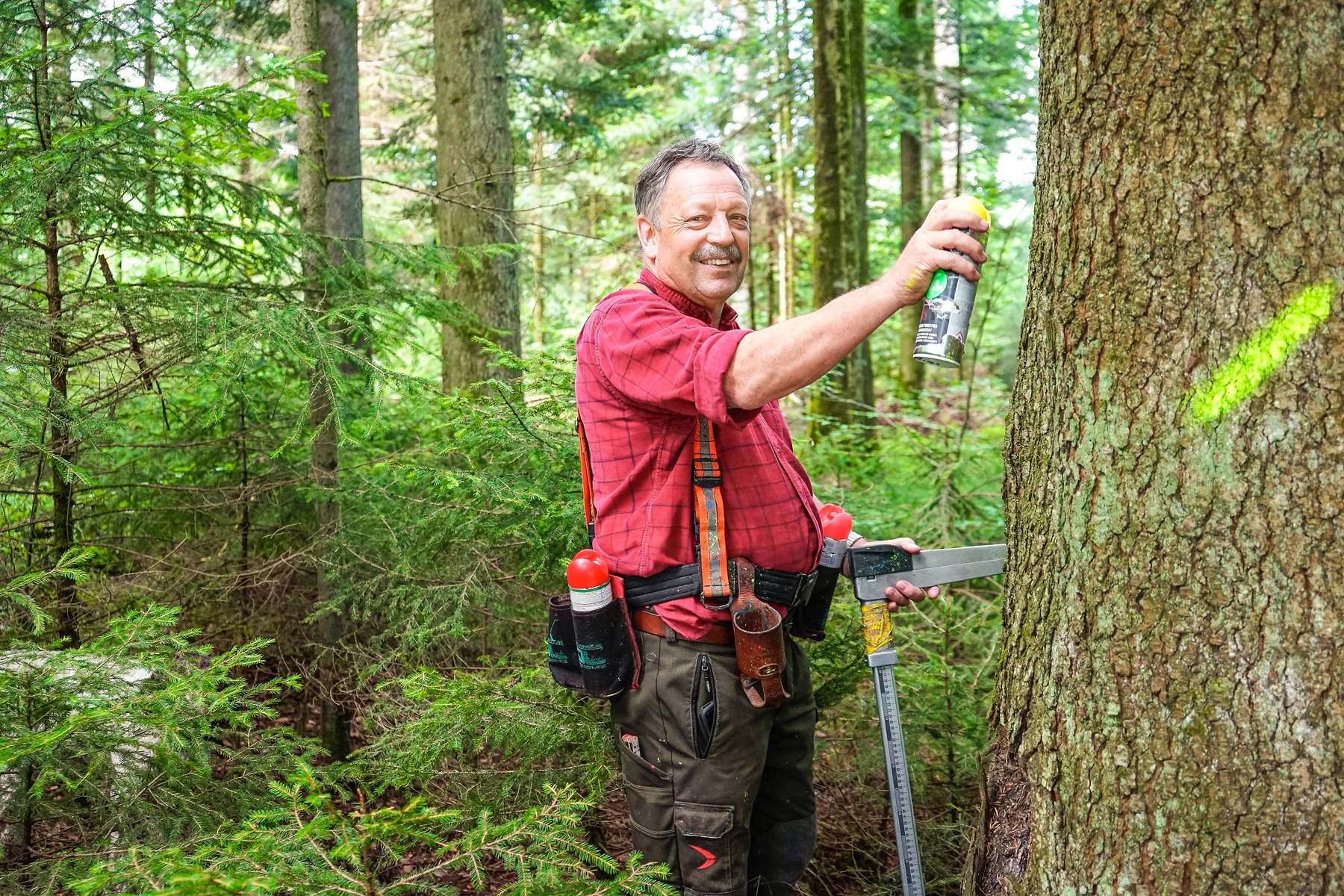 Vieles hat sich verändert, nicht aber die Begeisterung für den Wald