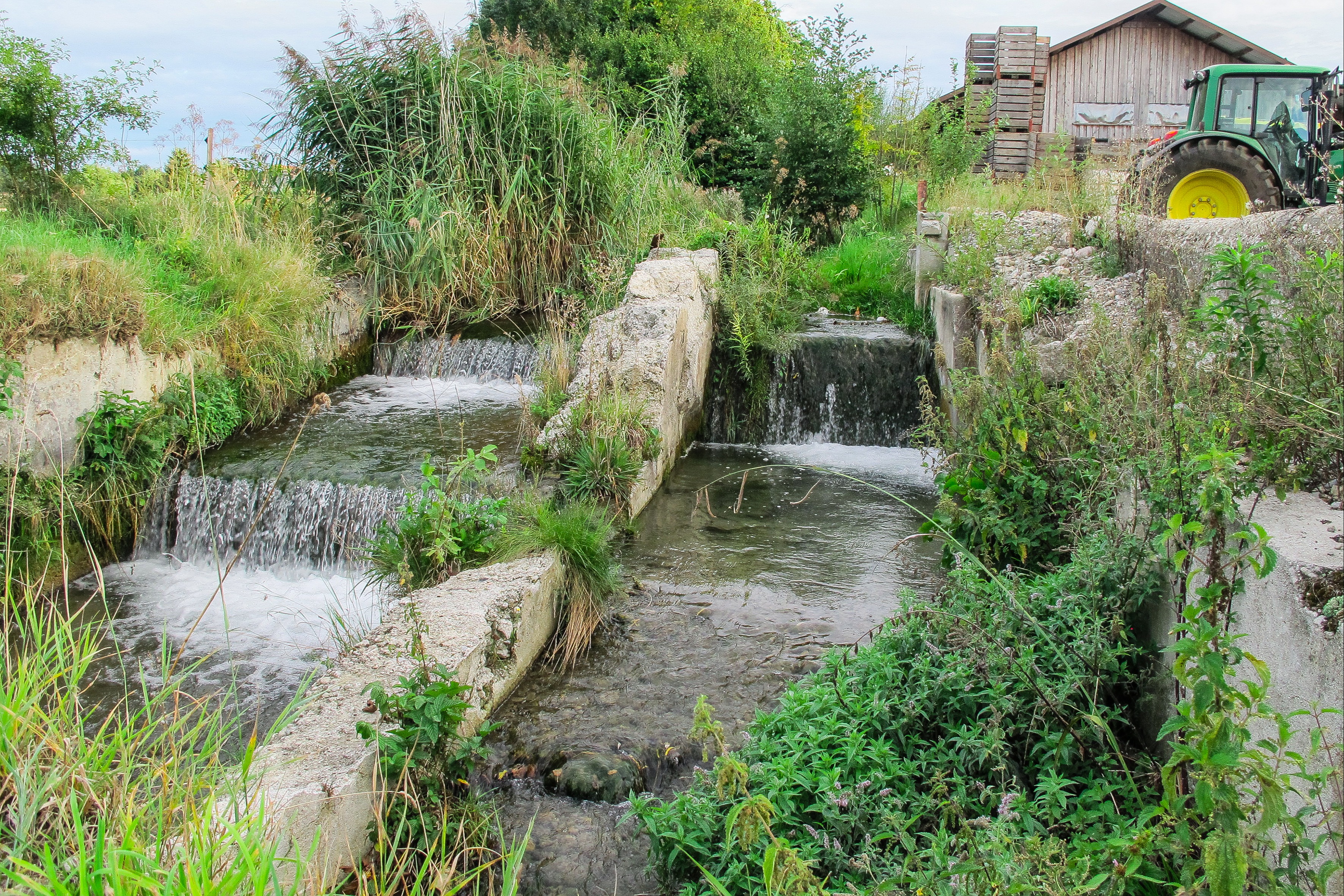 Ökologie und Hochwasserschutz