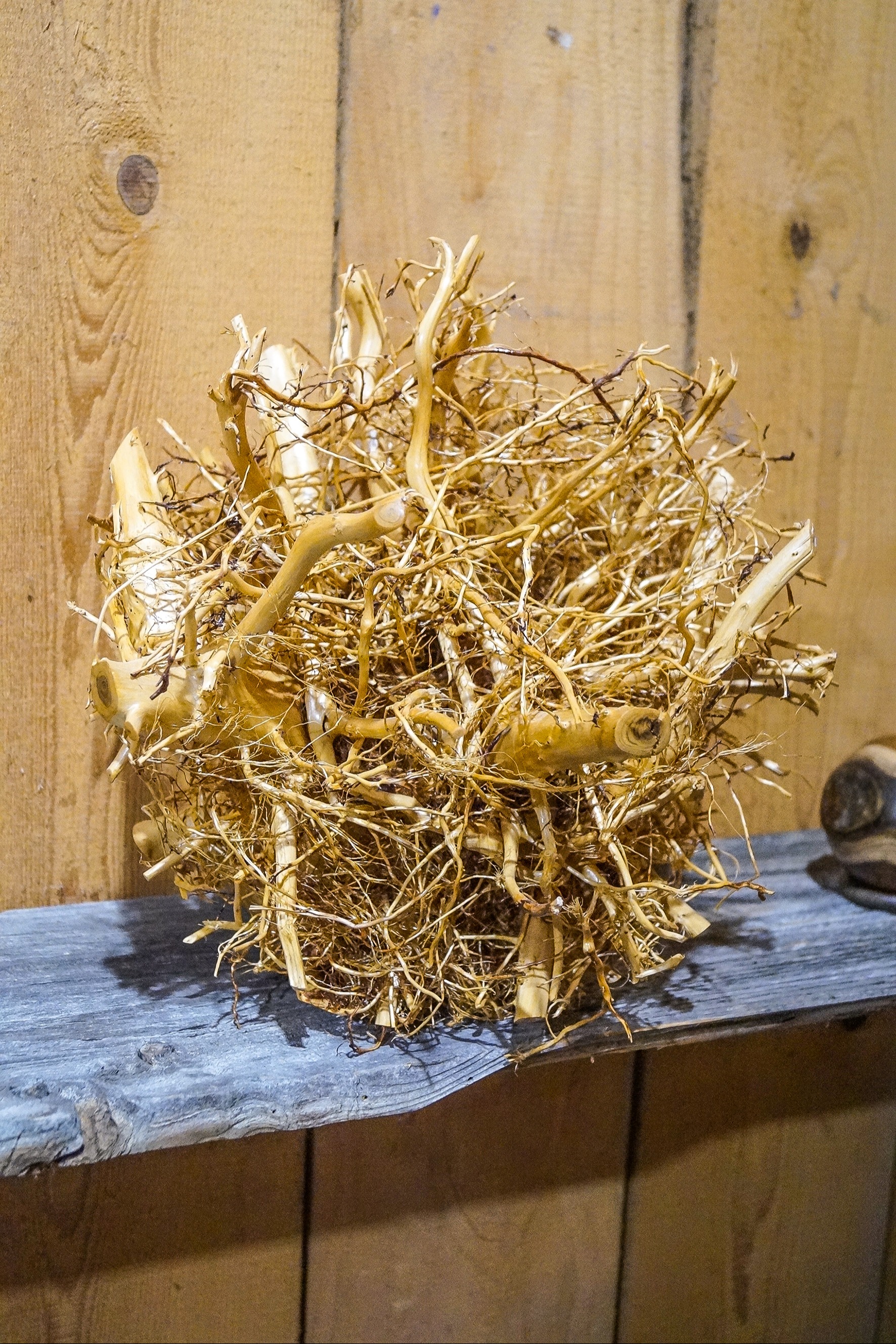 Handwerk und Kunst