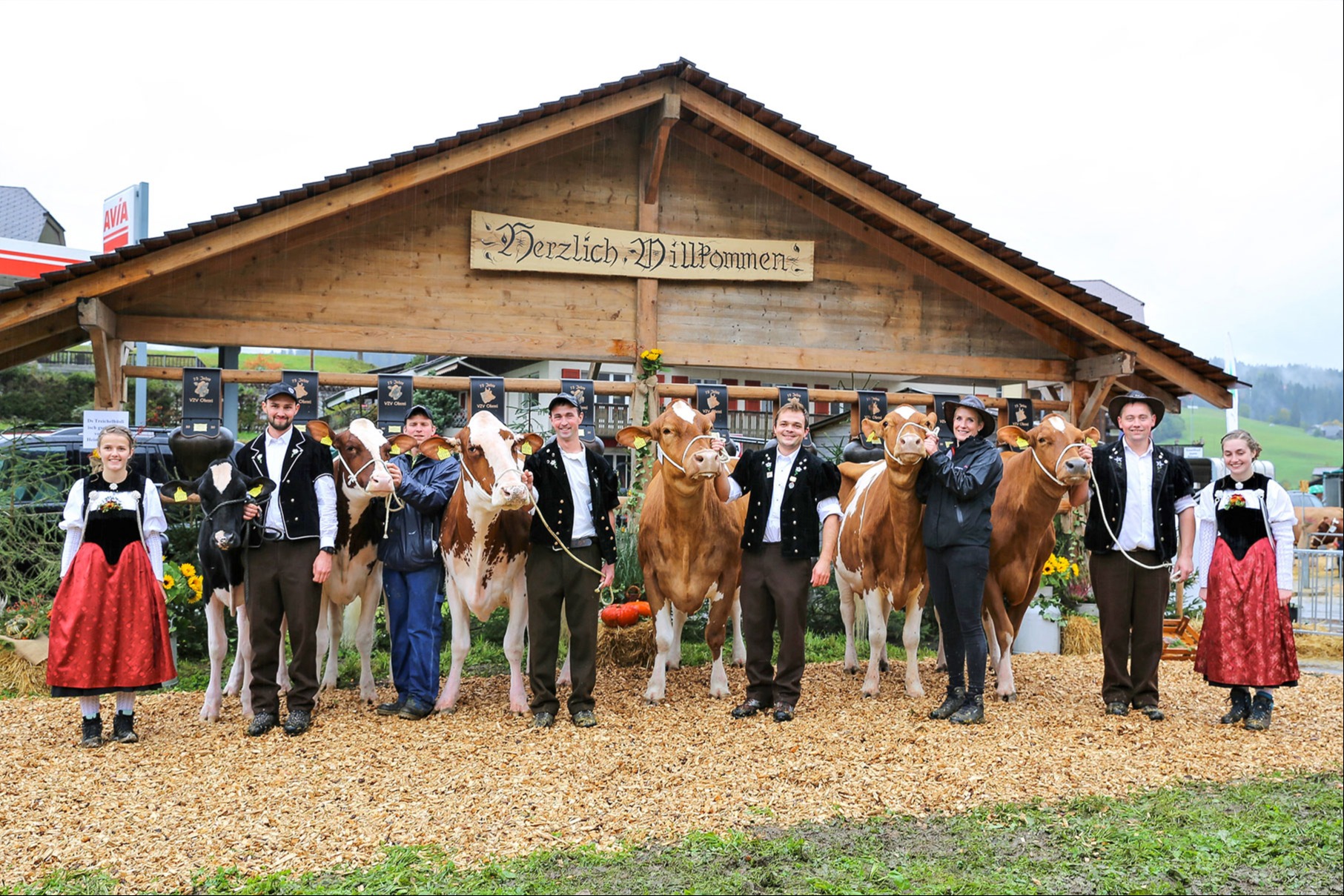 Wetterpech, aber Züchterglück