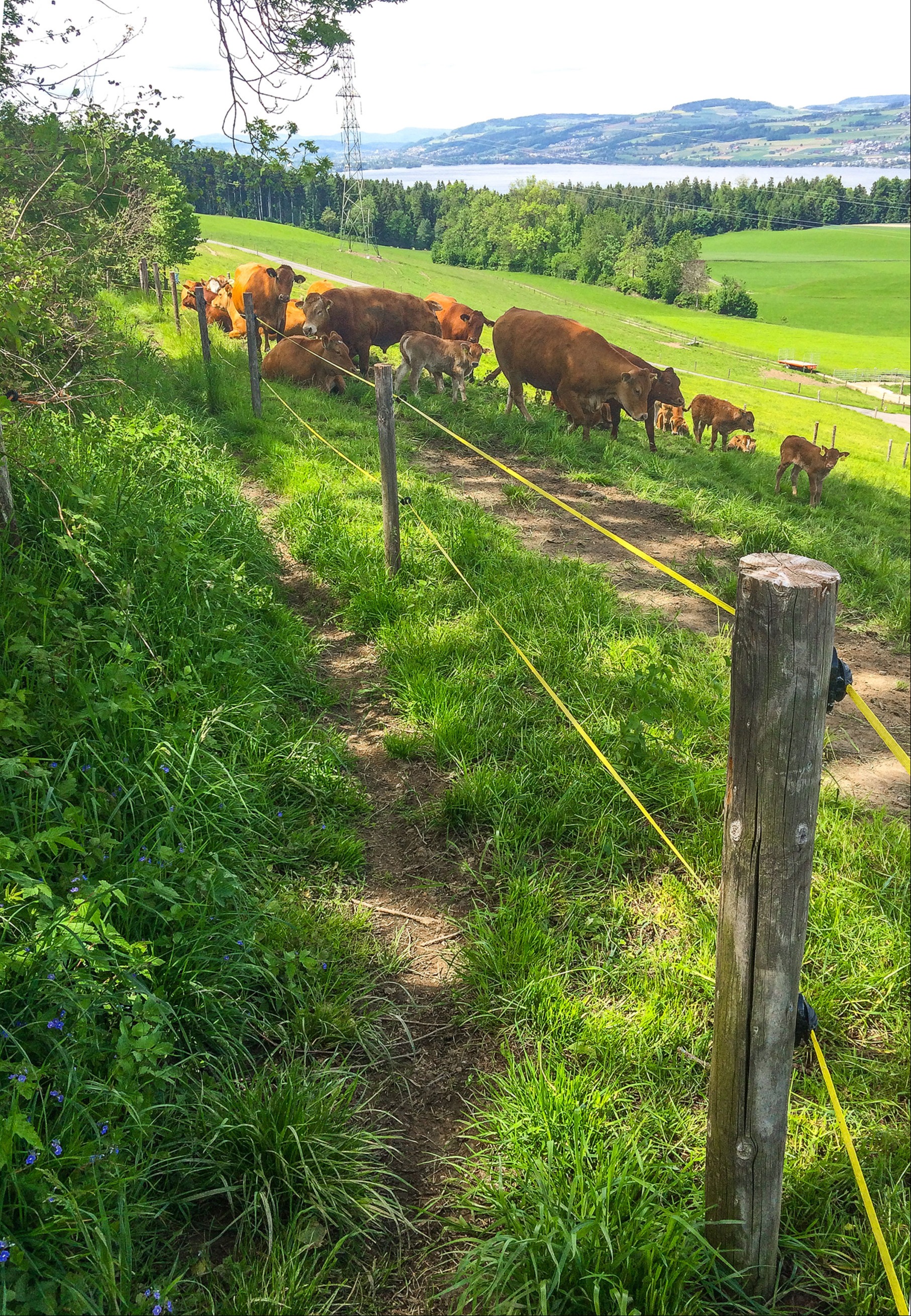 Wanderwege dürfen nicht in Eigenregie verlegt werden