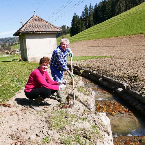 Unterschlupf und Lebensraum schaffen