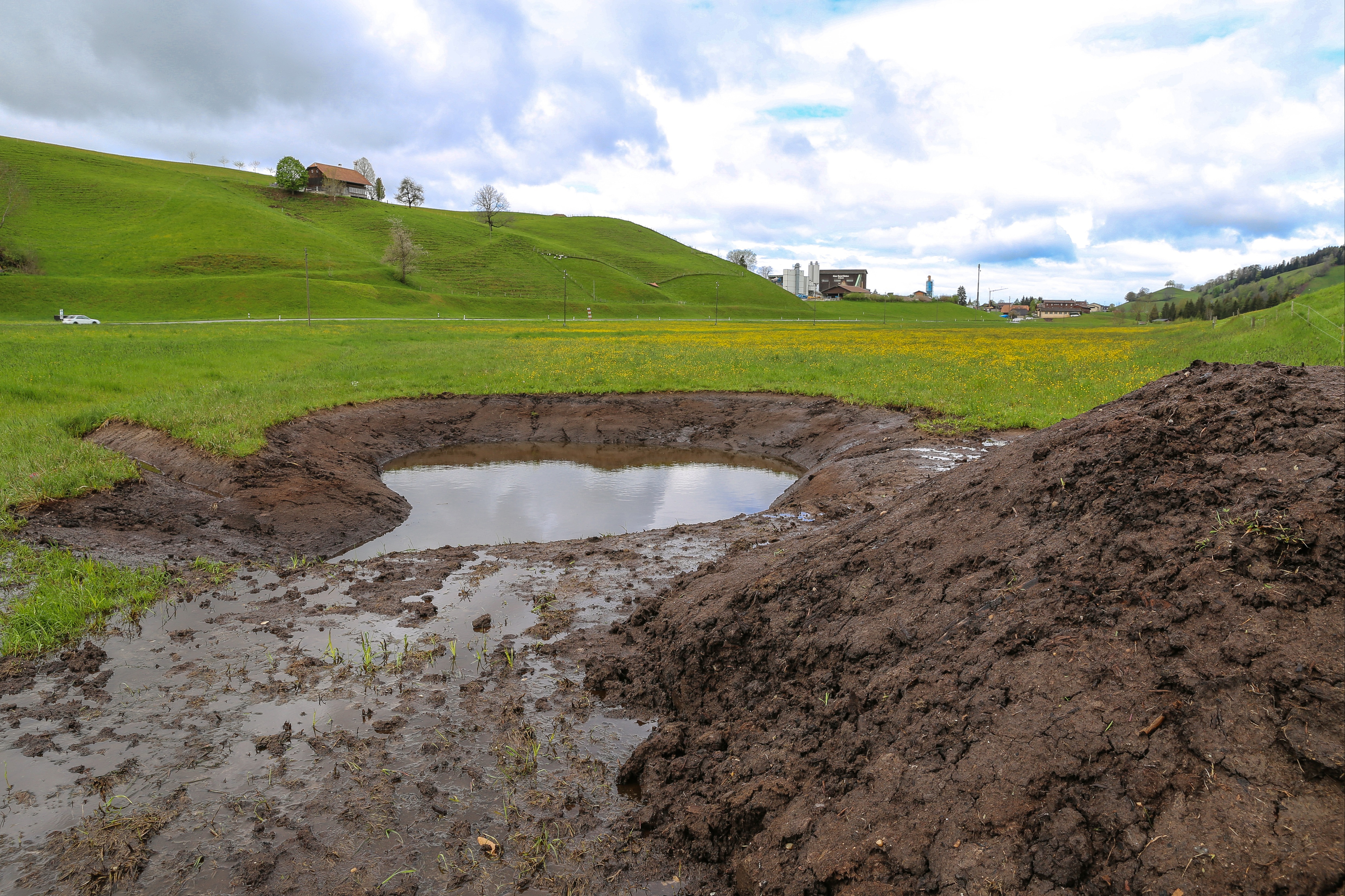 Lebensraum für die Geburtshelferkröte