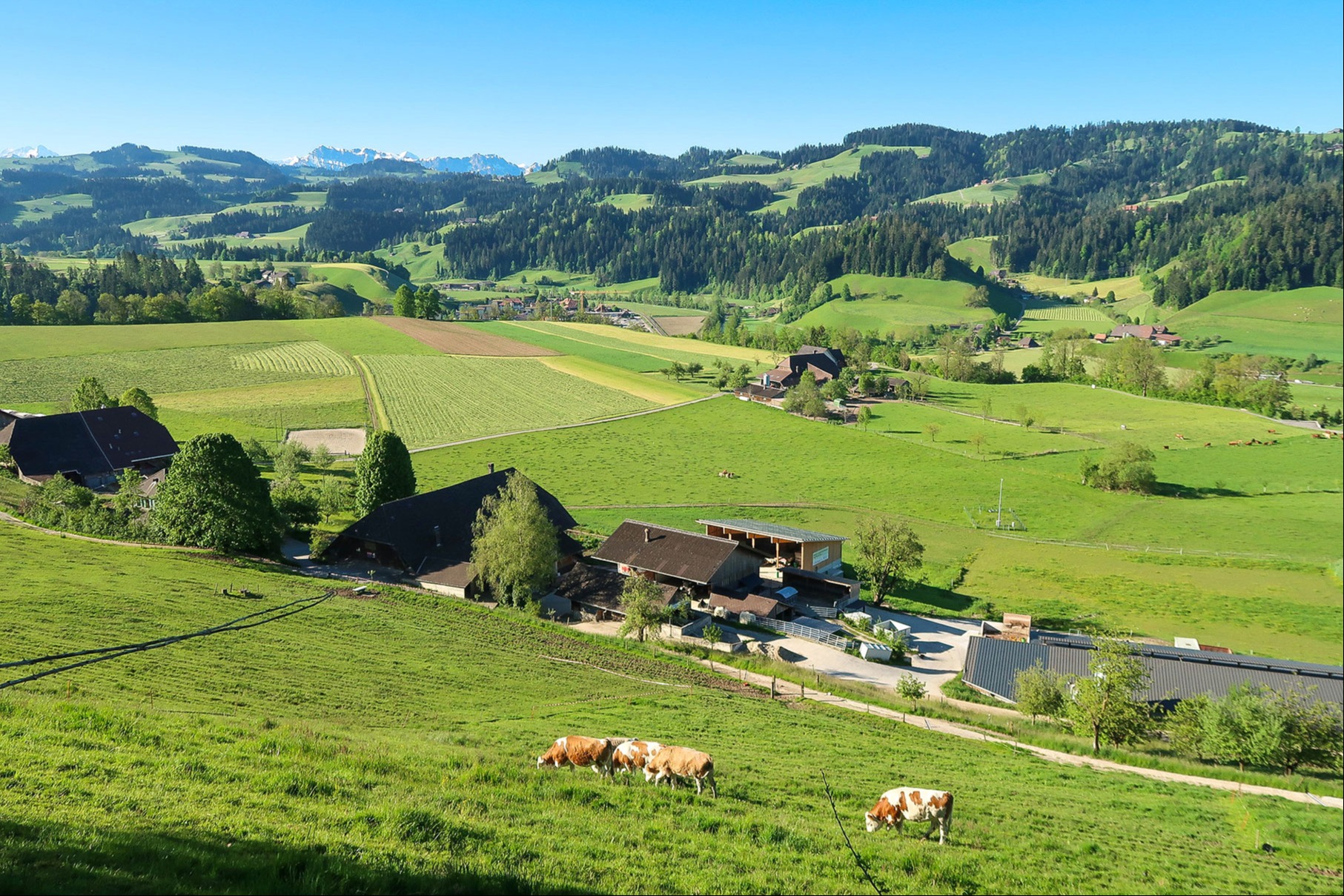 Fehlende Befürworter, lebhafte Diskussion 