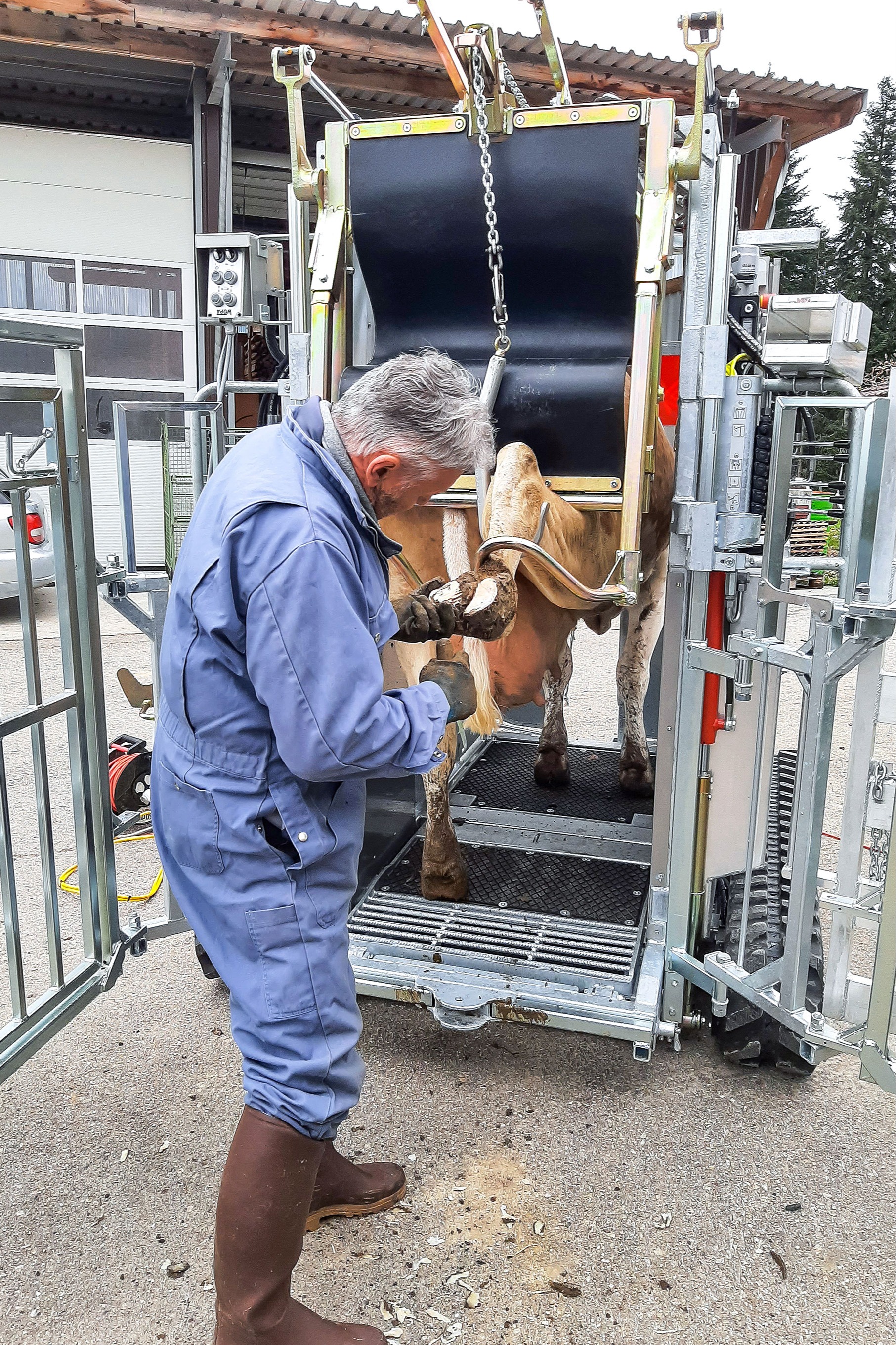 Klauenpflege auf Raupen 