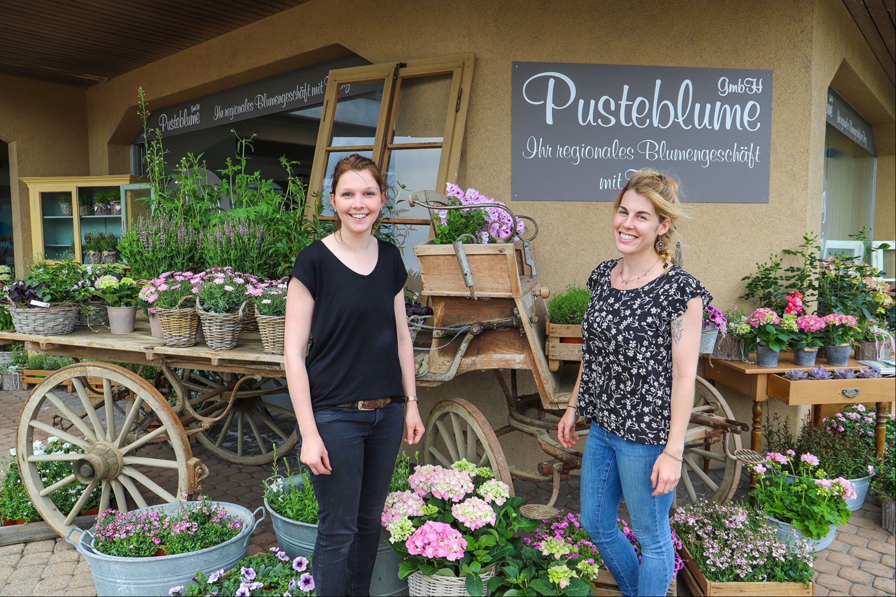 Pusteblume will Wünsche erfüllen