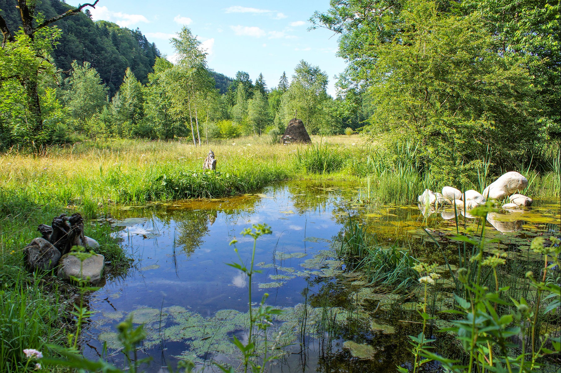 Biodiversitäts-Paradies erschaffen