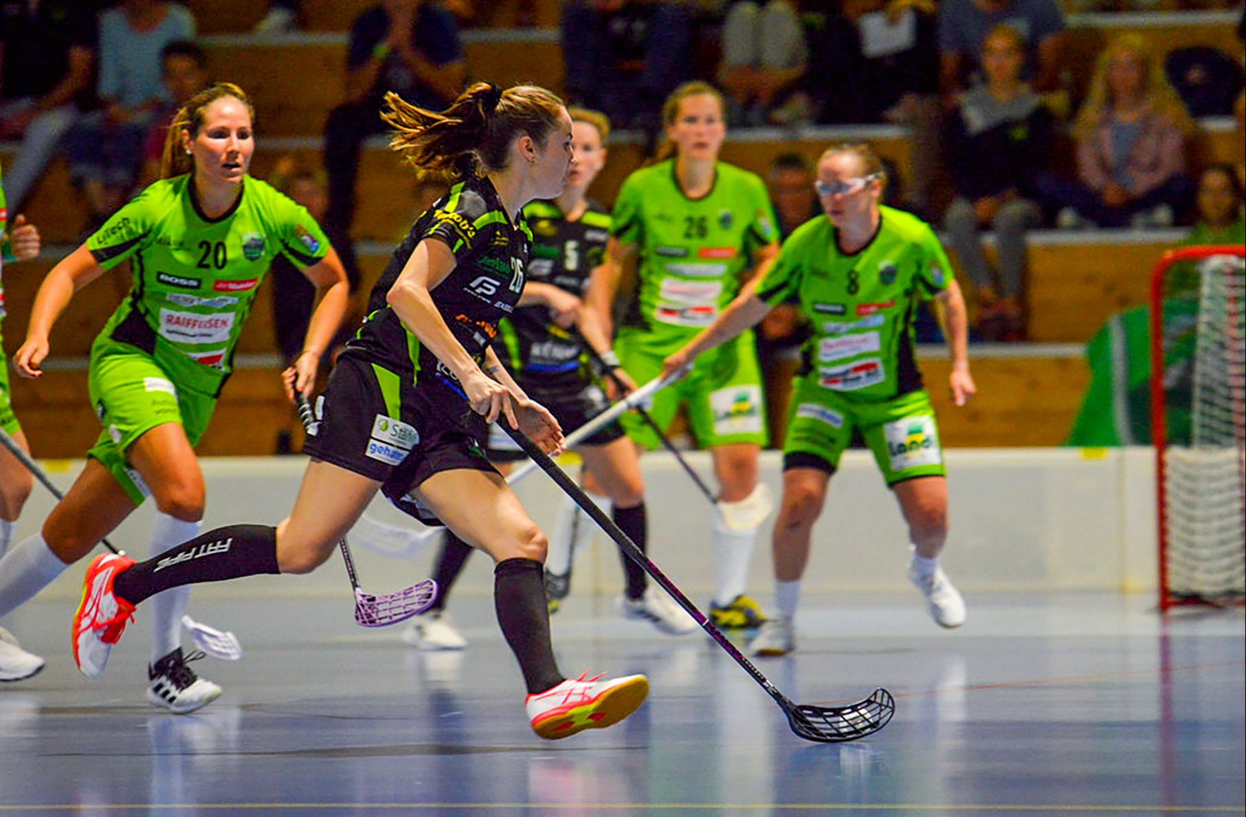 Tigers und Skorps gewinnen