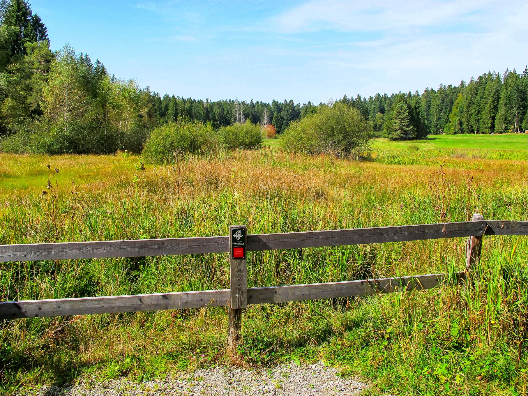 Voraussetzungen geschaffen, damit sich das Hochmoor ausbreiten kann