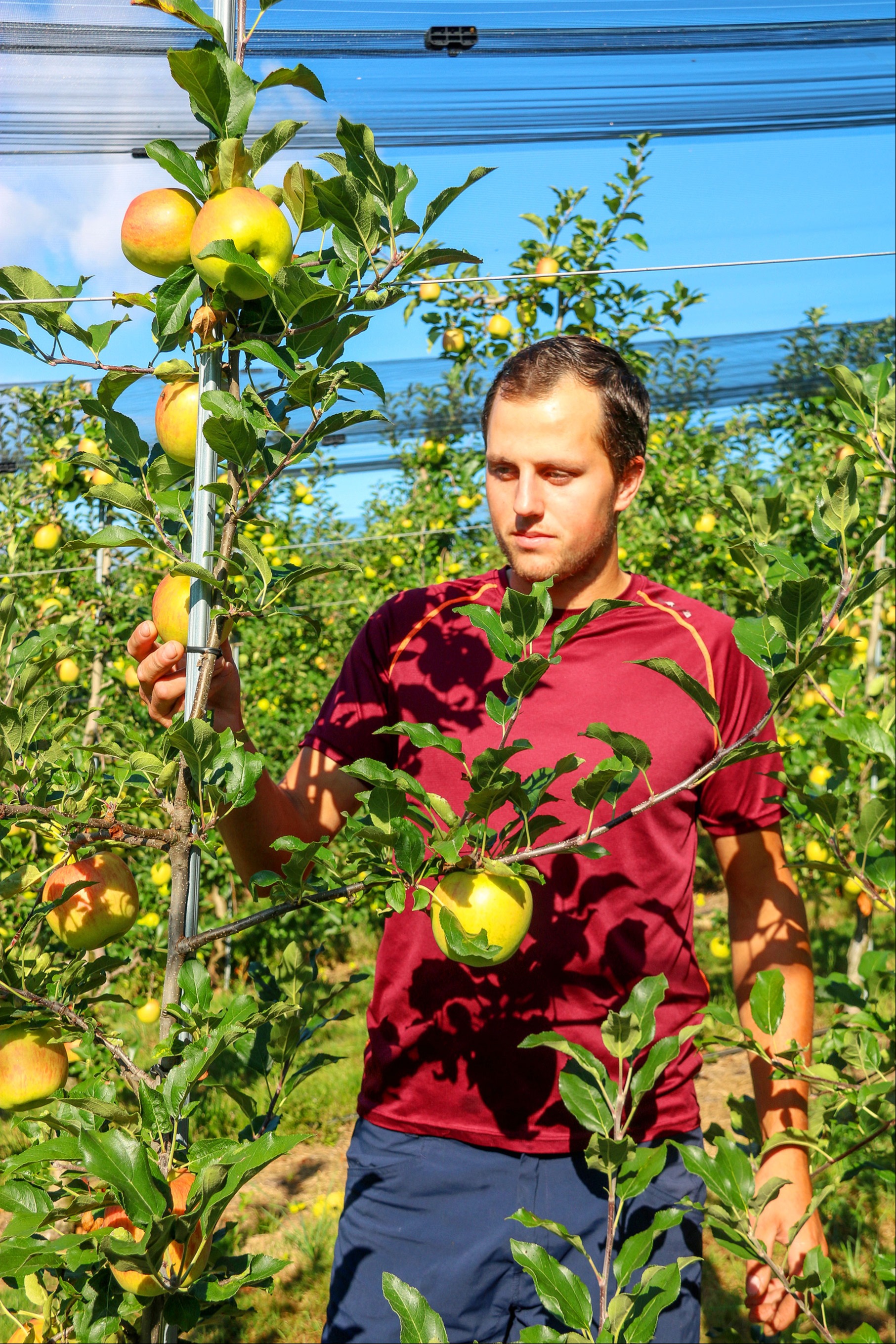 Ein Teich soll helfen, die Ernte zu sichern