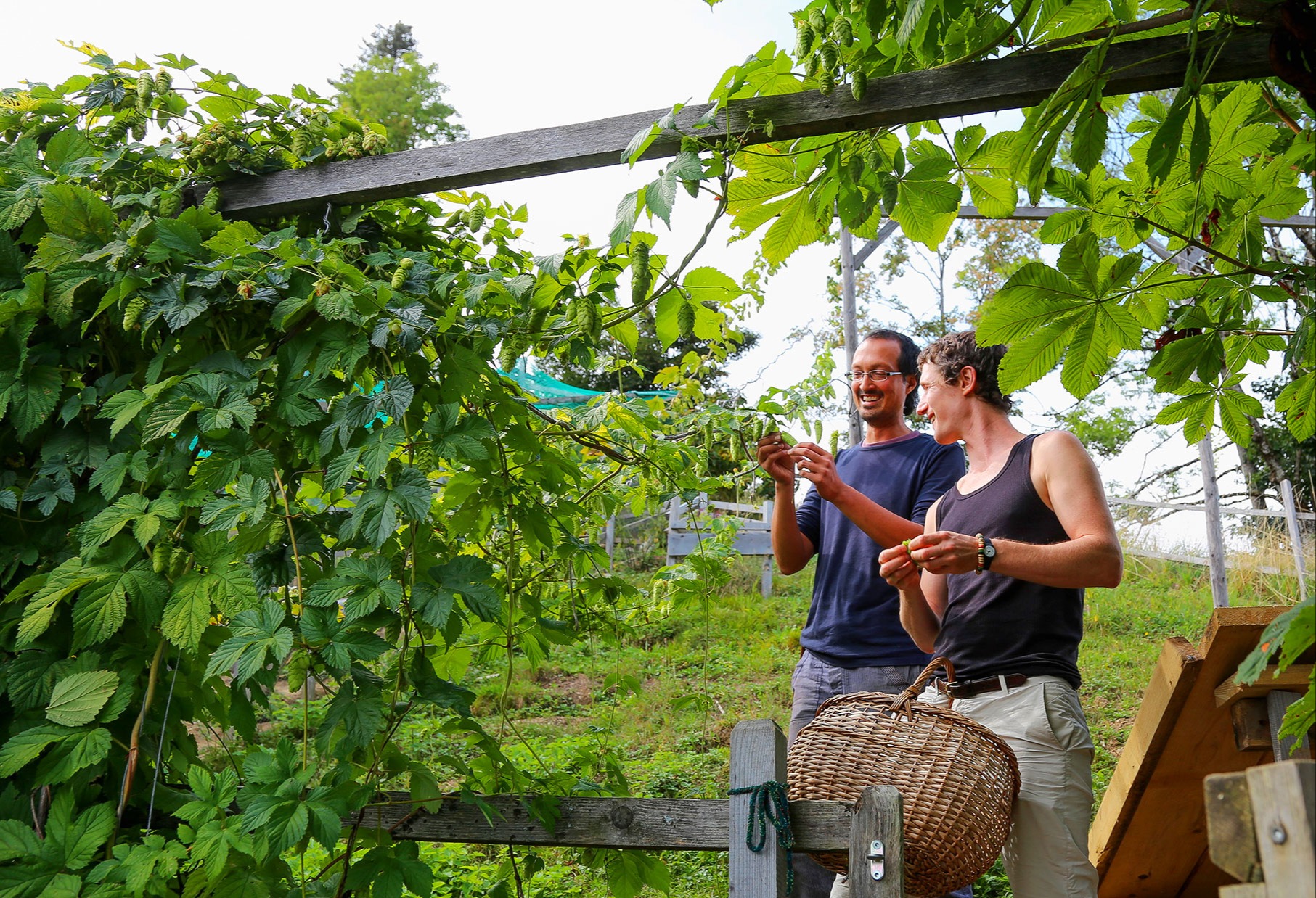 Balmeggberg: Der Bauernhof, auf dem Ideen wachsen