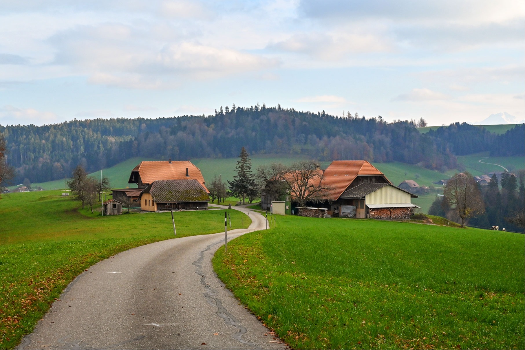 «Brünsbärg» isch de gar ke Brunz!  