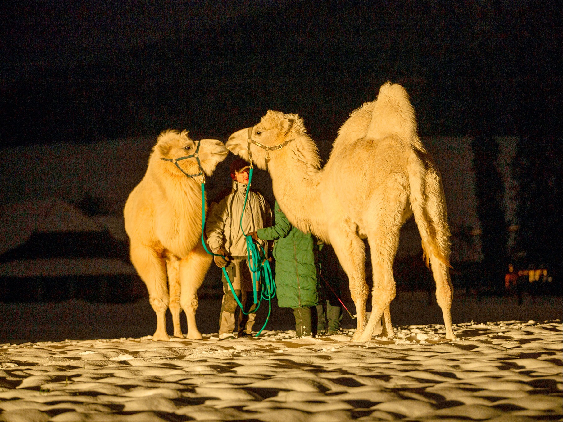 Aufbruch nach Bethlehem