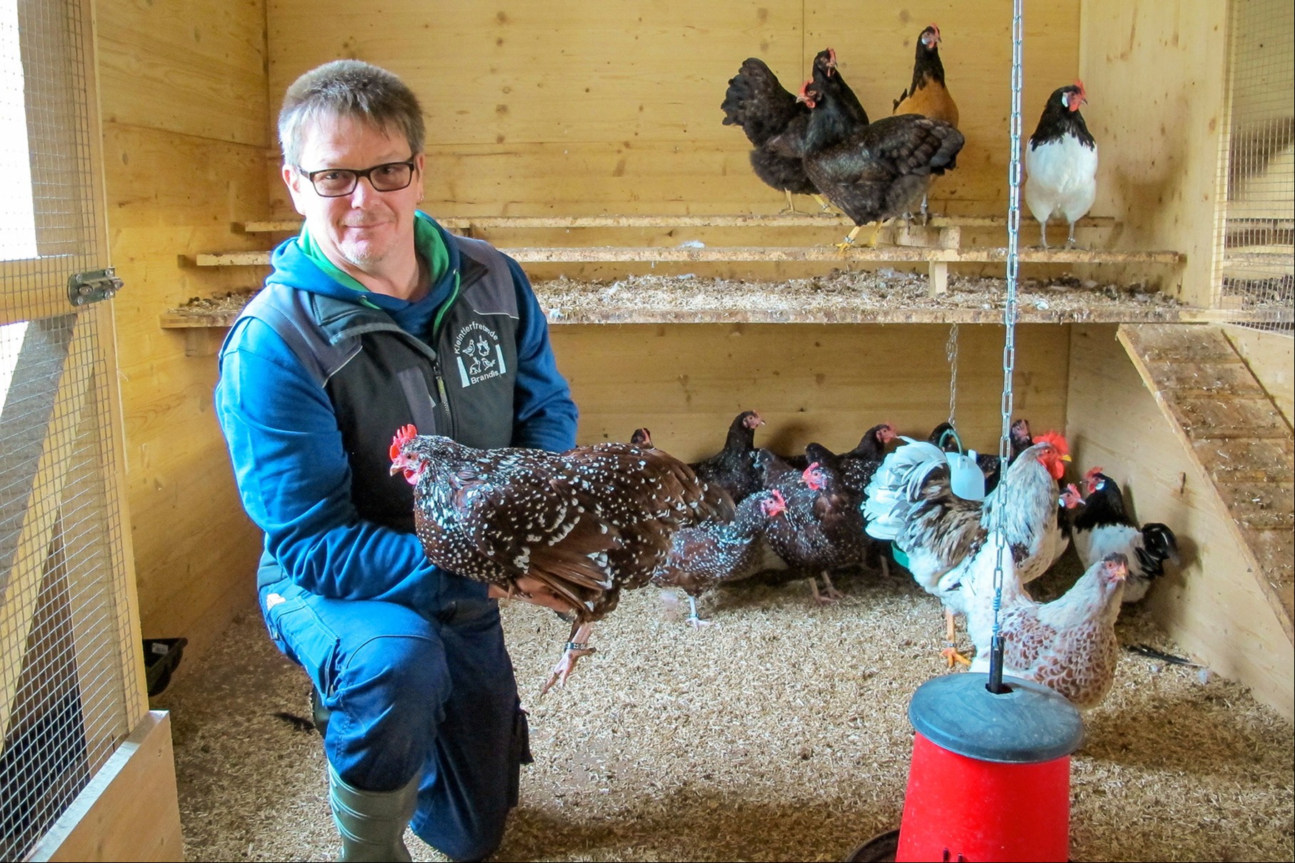 Wegen Vogelgrippe kein Geflügel an Ausstellungen