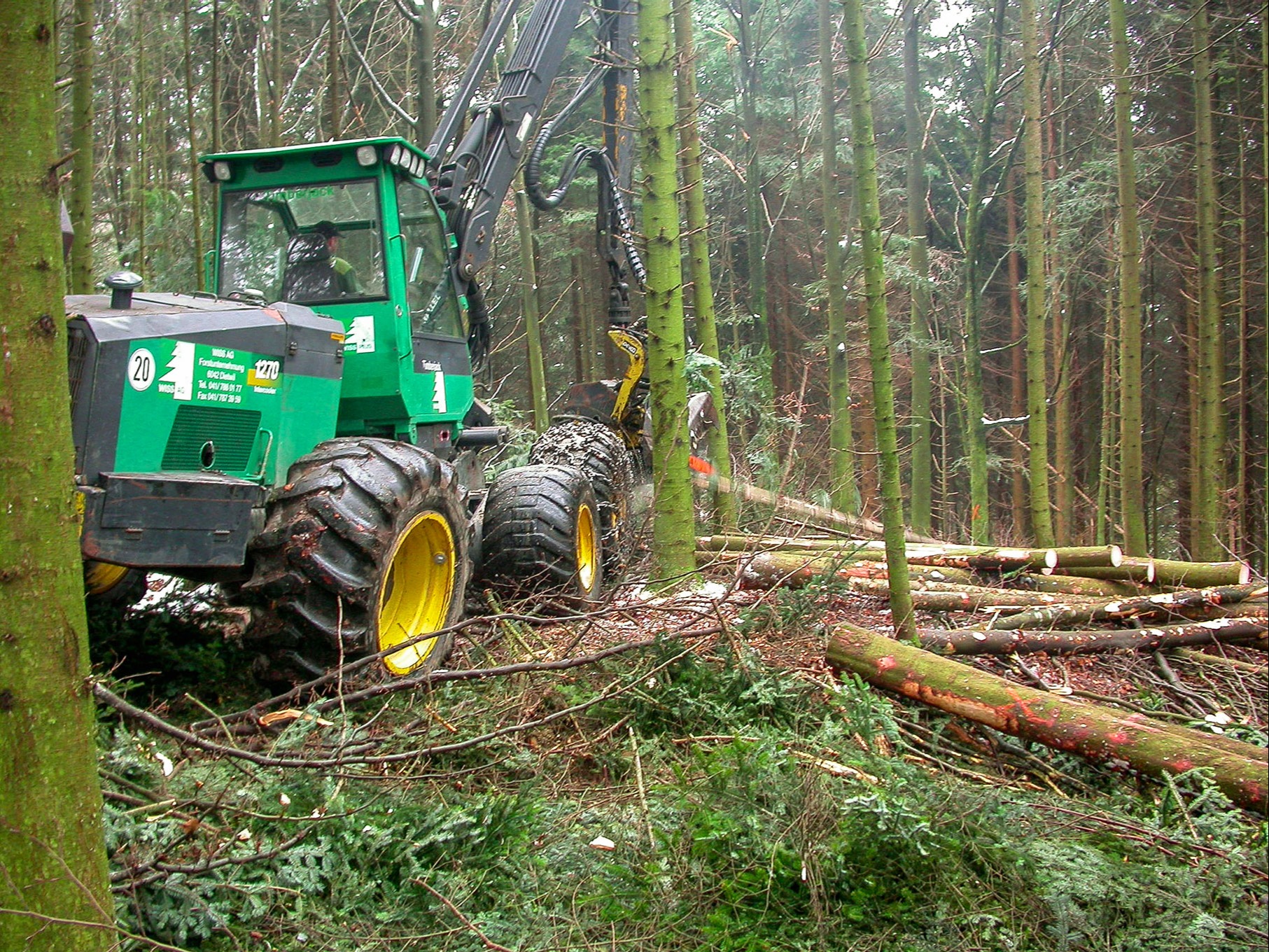 Den Rohstoff Holz optimal nutzen