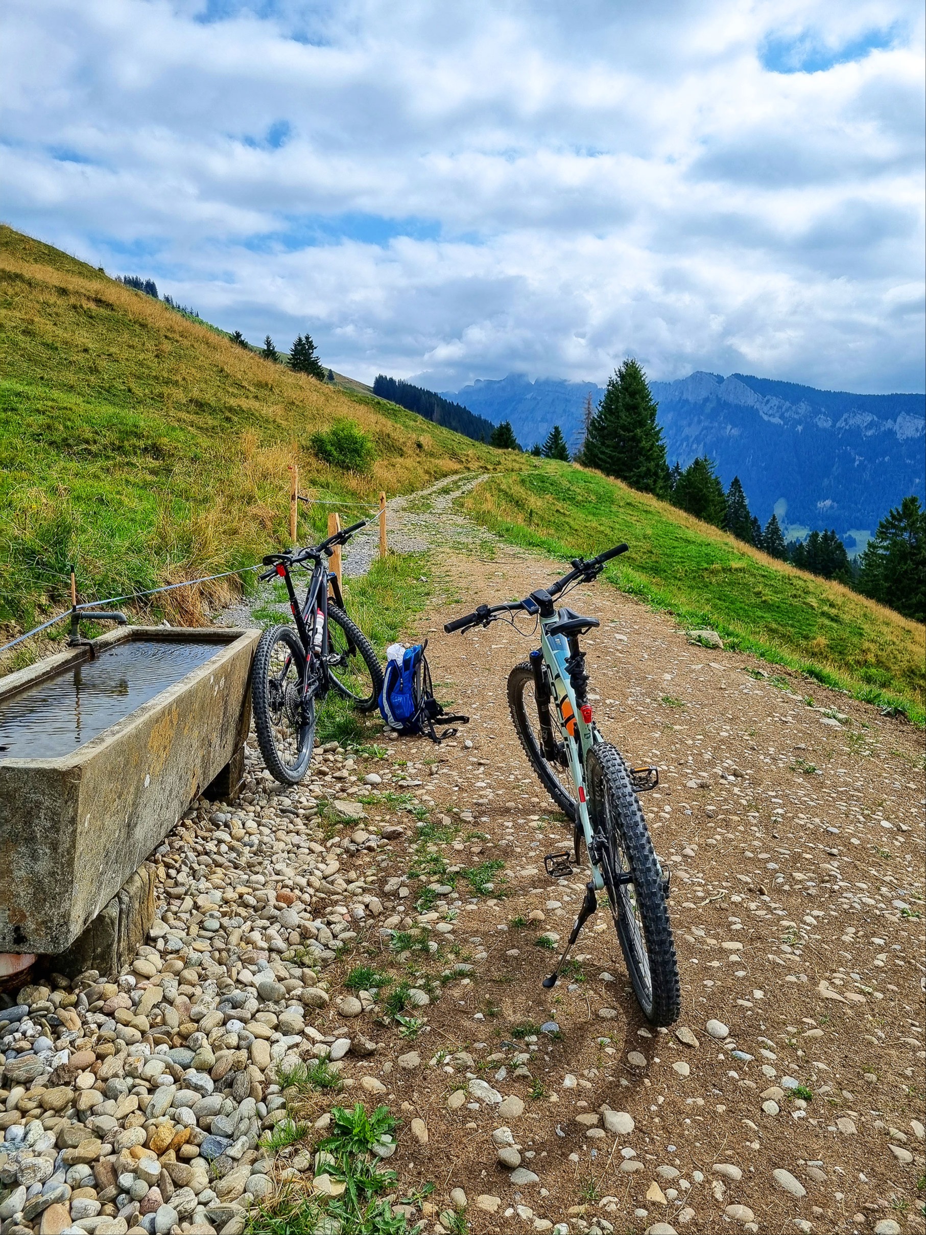 Koexistenz statt Konflikt – ein Richtplan Moutainbike solls richten