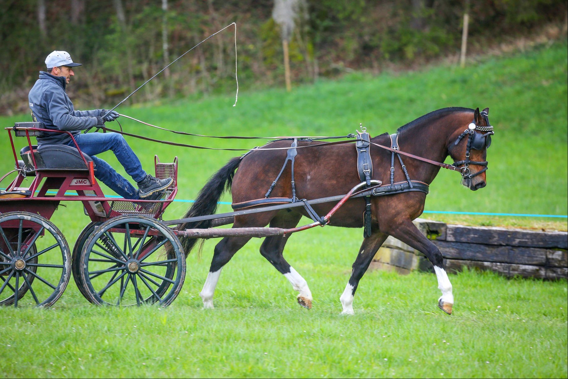 Ein vielversprechendes Siegerpferd am Feldtest in Sumiswald