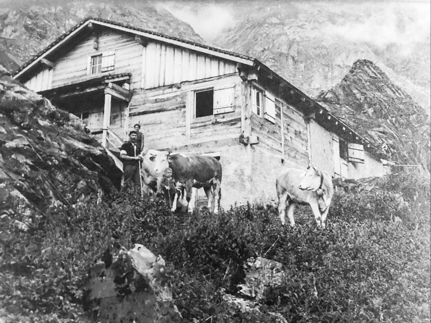 Sie wollten ihre eigene Alp