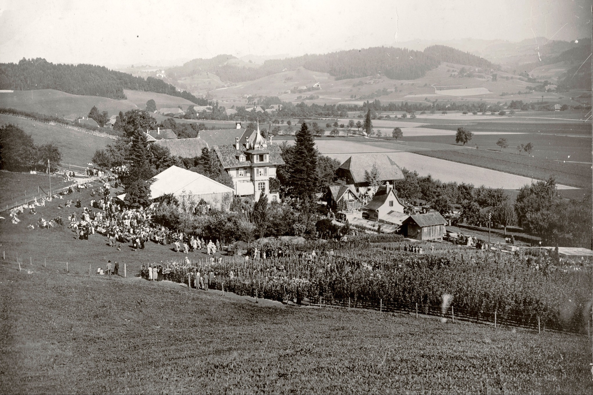 Dahlienschau gibts seit 1923