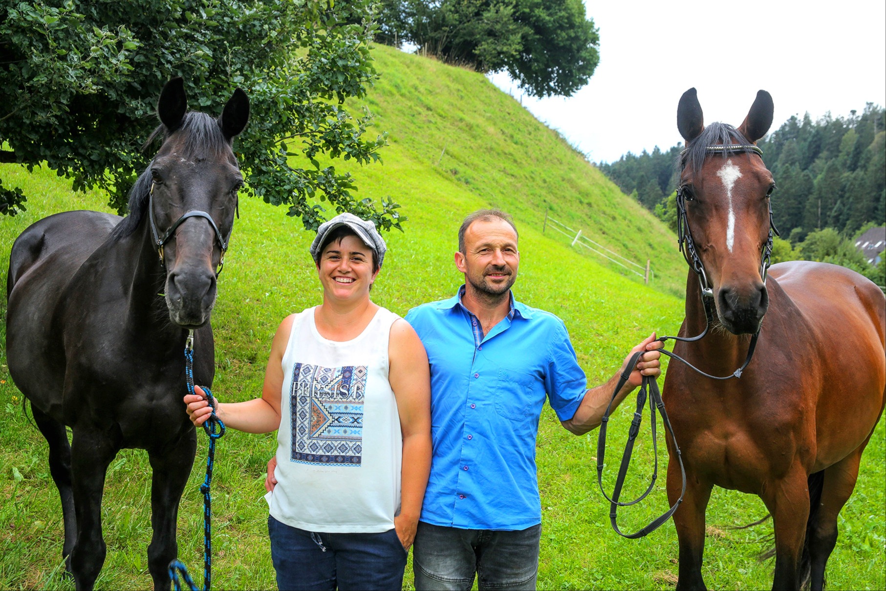 Pferde: Hobby und Betriebsstandbein