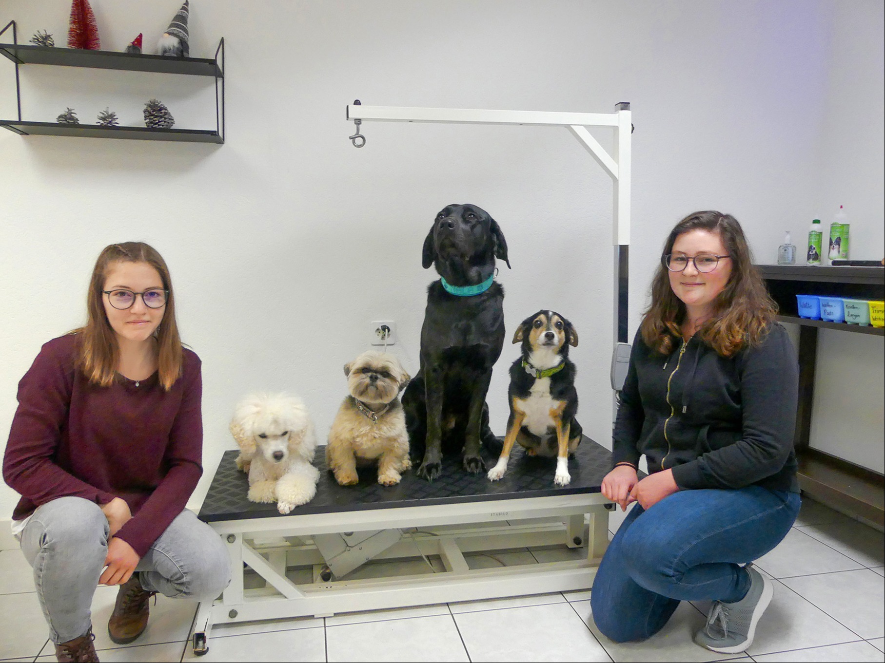 Mehr als Hunde frisieren