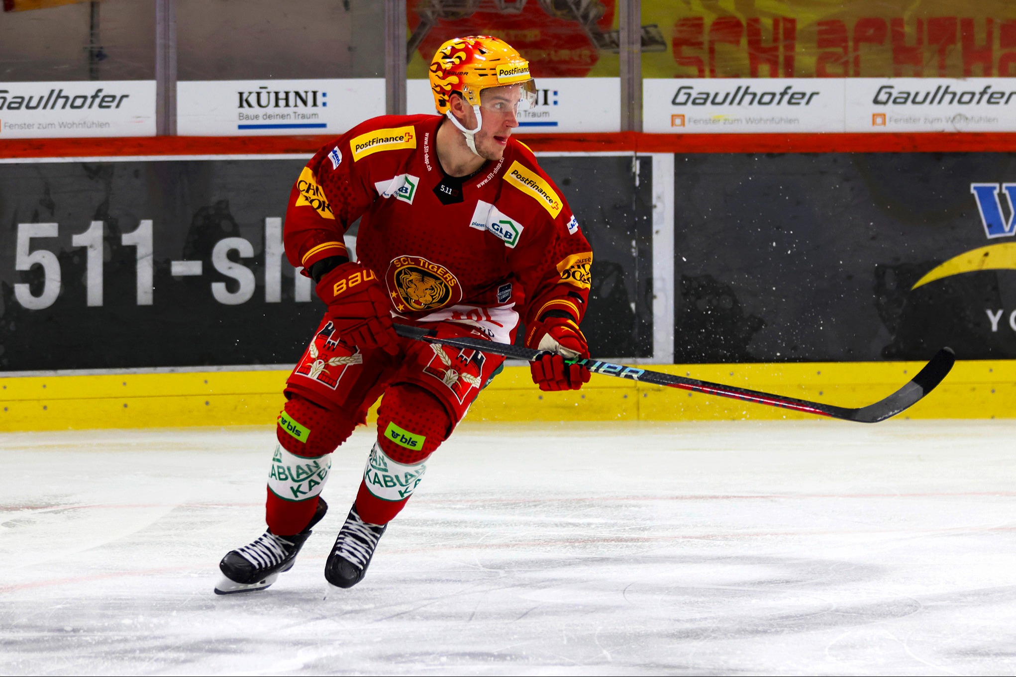 SCL Tigers in Zahlen