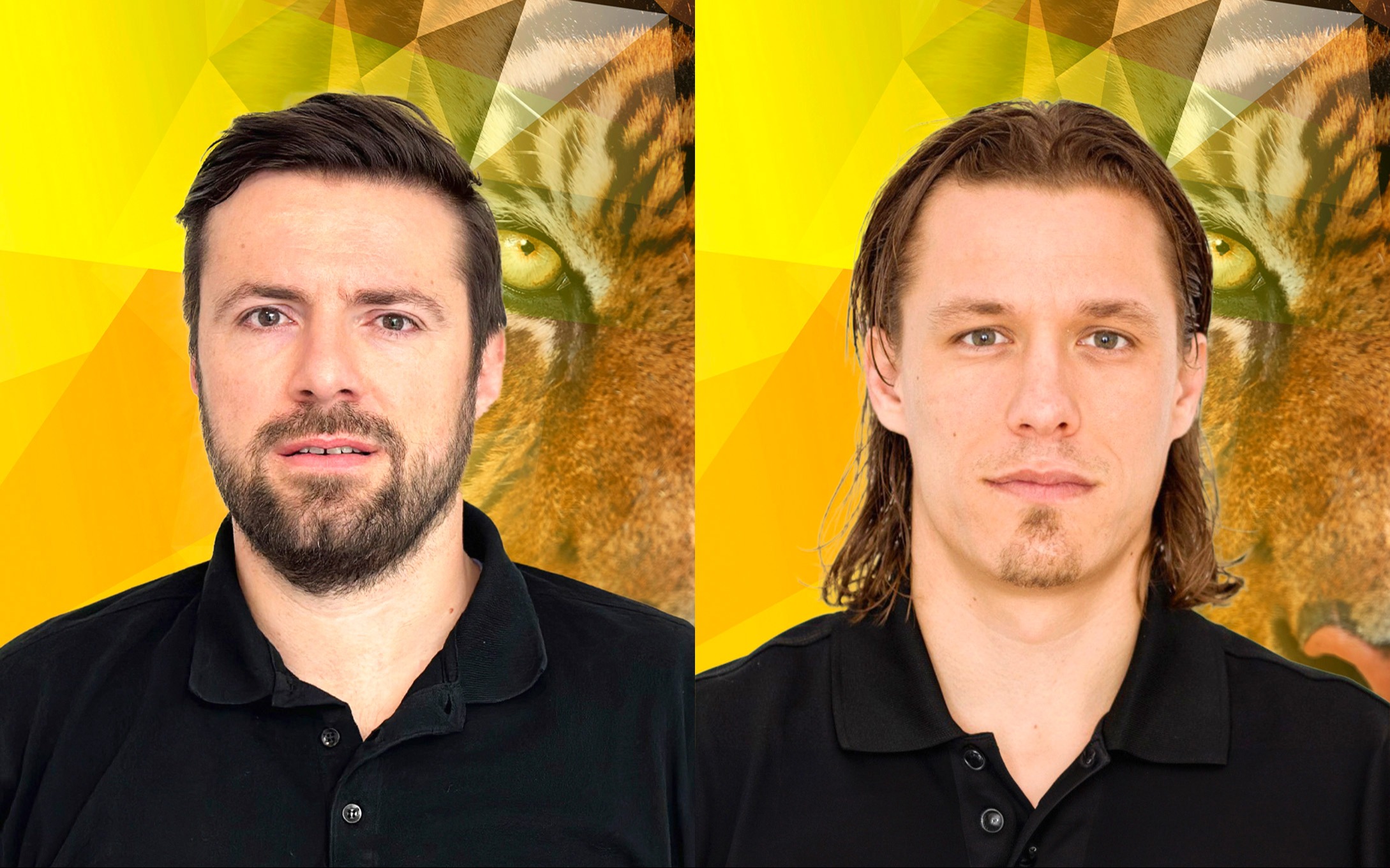 Die SCL Tigers stocken auf