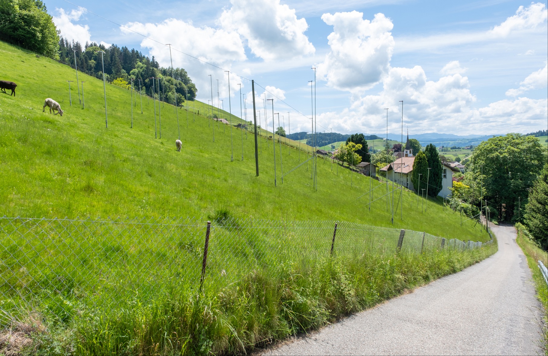 Volk entscheidet gegen den Gemeinderat