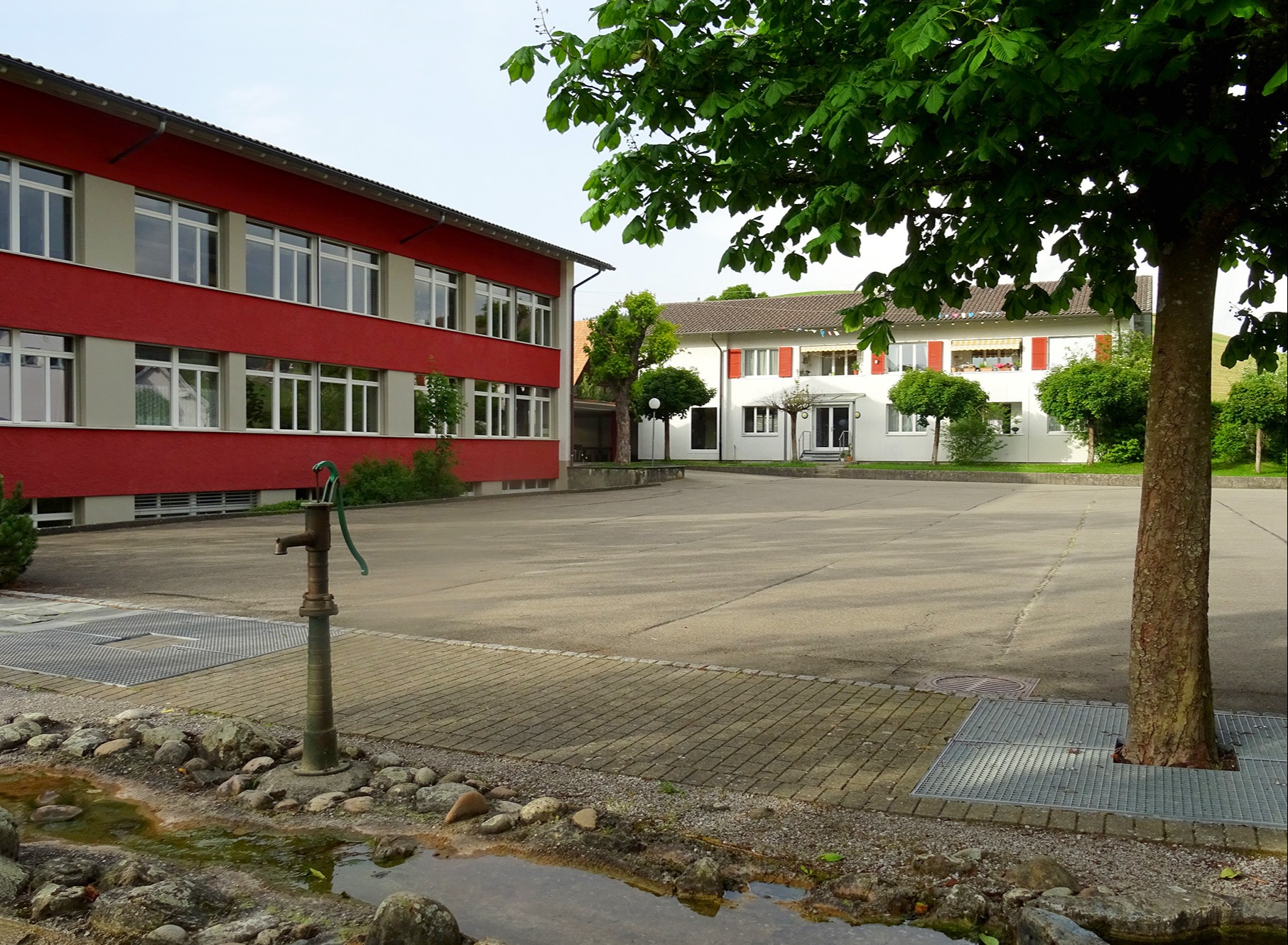 Lieber Parkplätze als Bäume: Die Mehrheit sagt Nein zur Umgestaltung