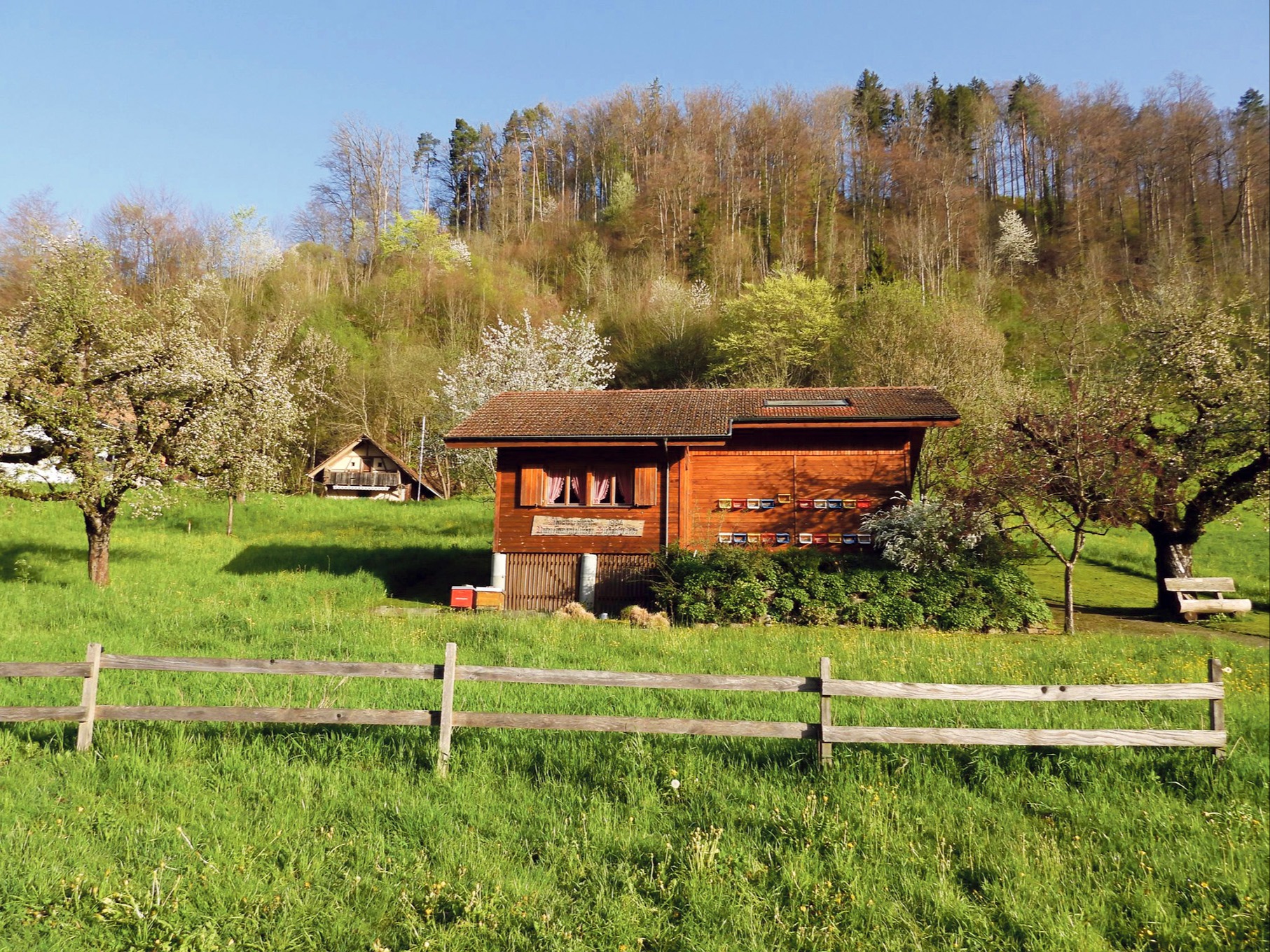 Mehr Platz im und ums Bienenhaus