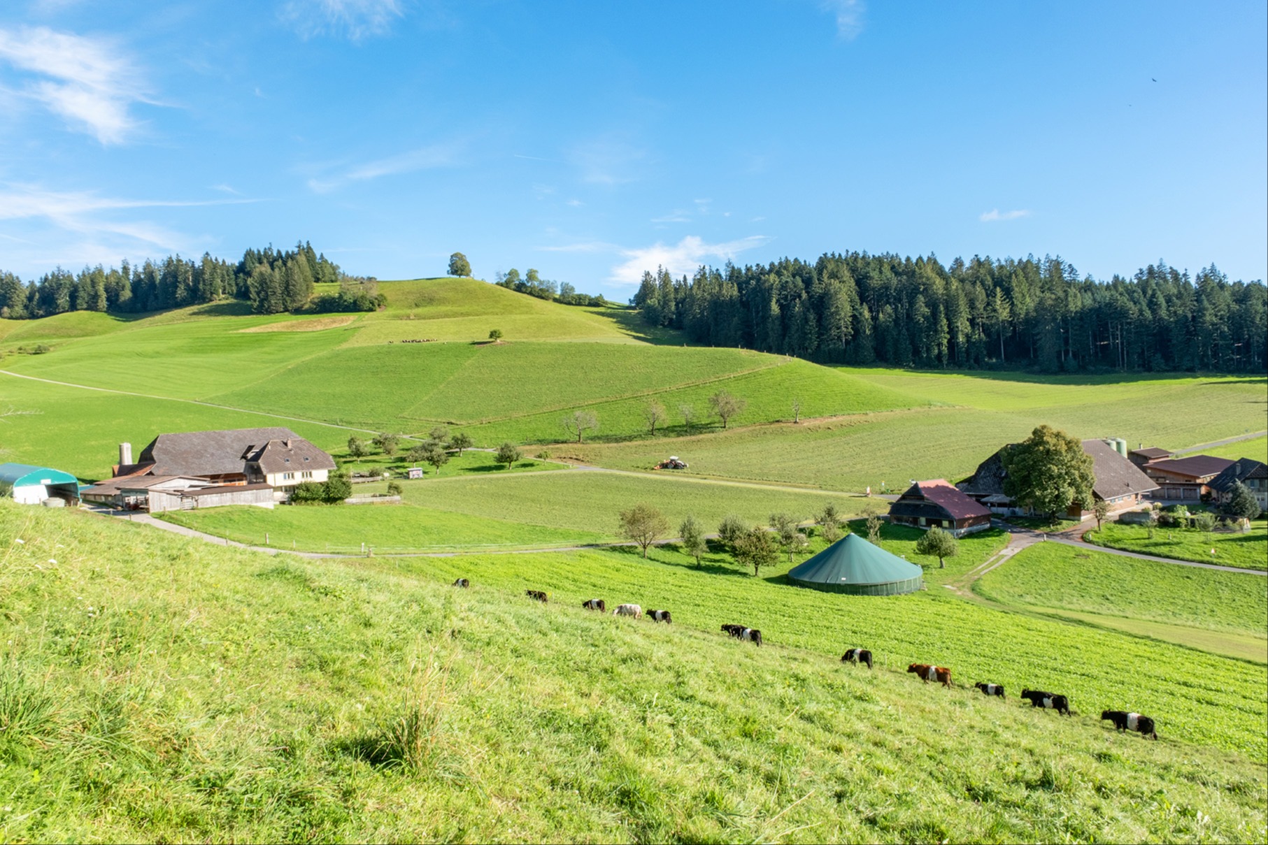 Urteil in der Causa Bschüttileitungen: Freispruch für die Landwirte