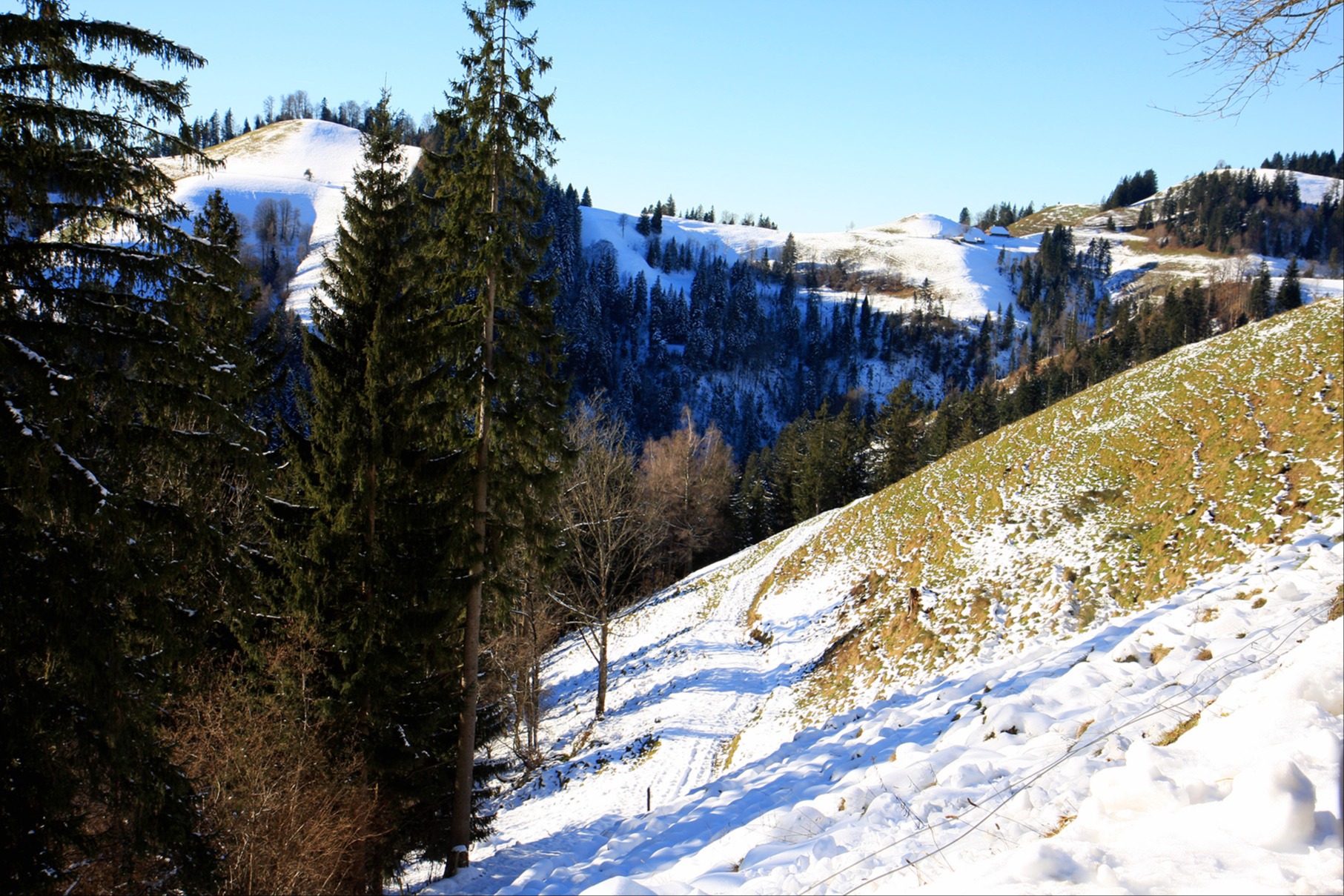 Was «Riis» aues cha bedüte