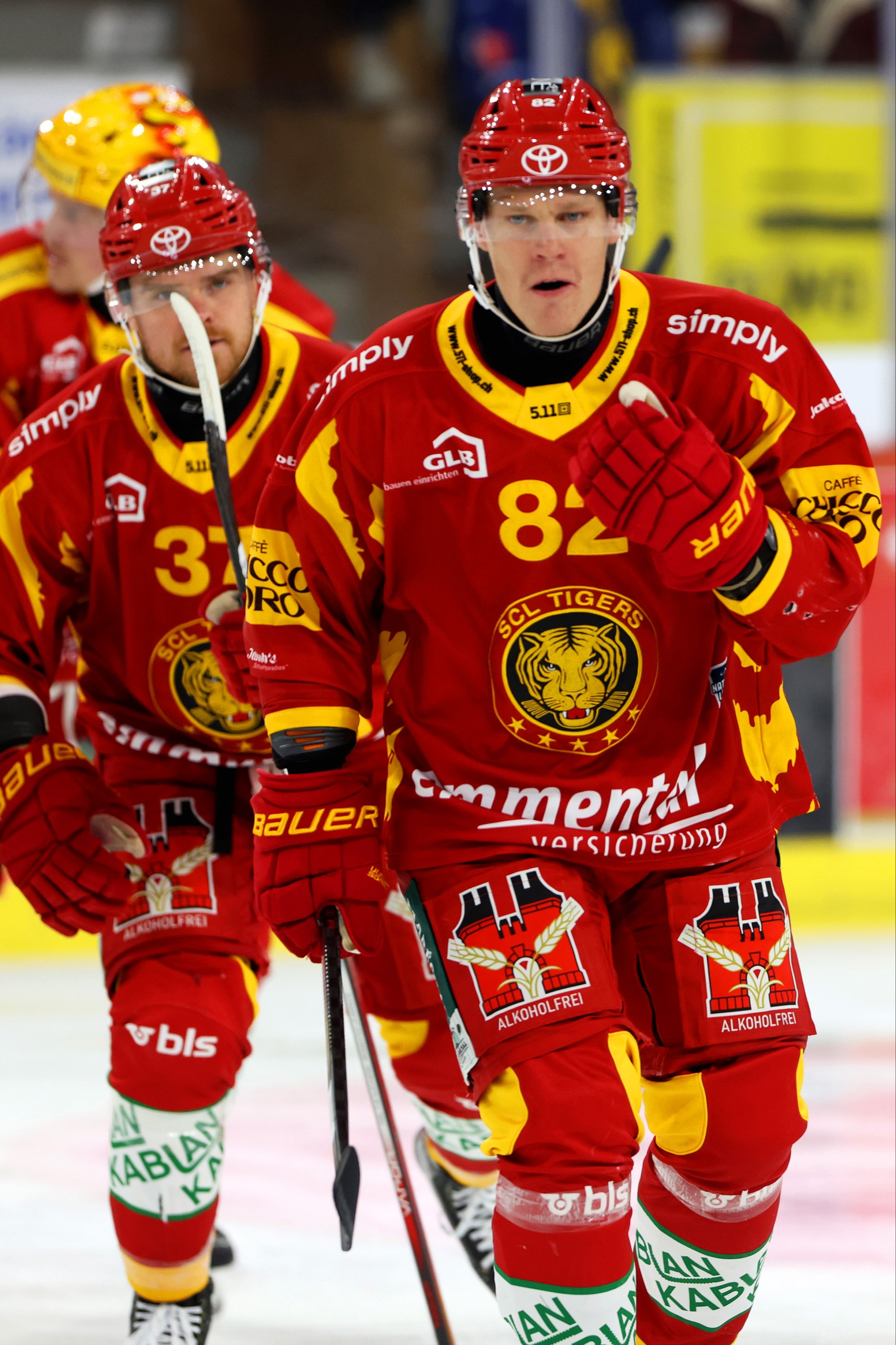  SCL Tigers in Zahlen