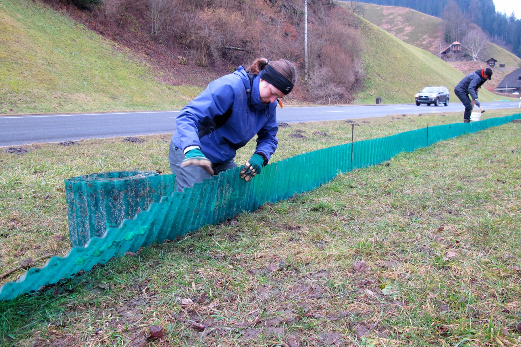 Keine fixen Durchlässe für Amphibien bei der sanierten Kantonsstrasse