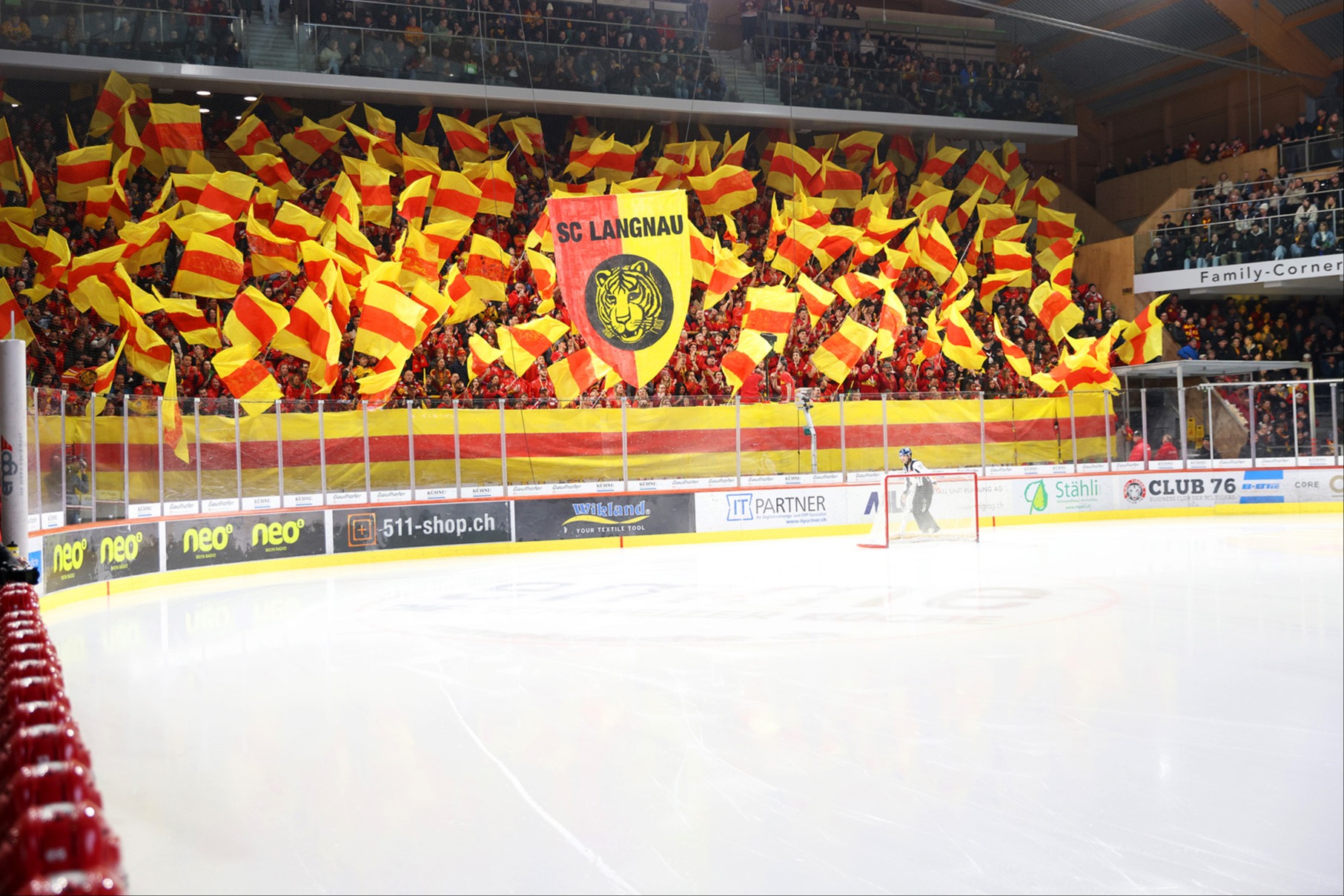 SCL Tigers in Zahlen
