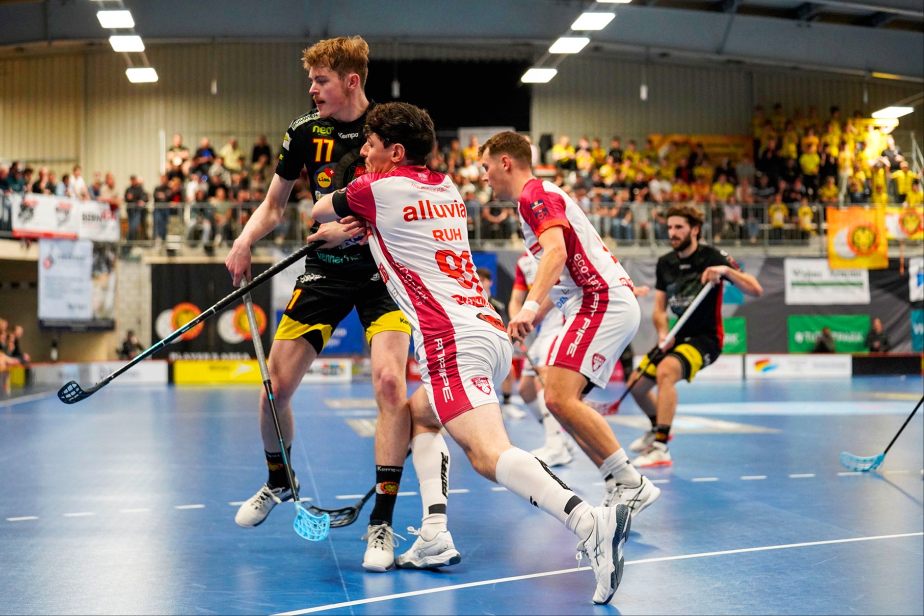 Nur ein Sieg trennt die Tigers vom Superfinal, alles offen bei den Skorps