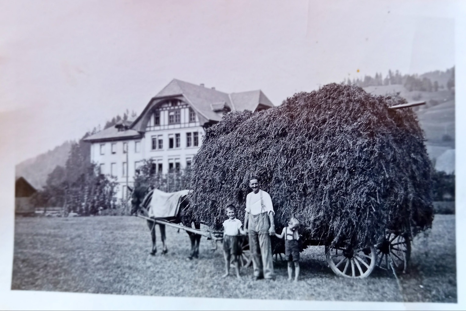 Arbeitsreiche Heuet