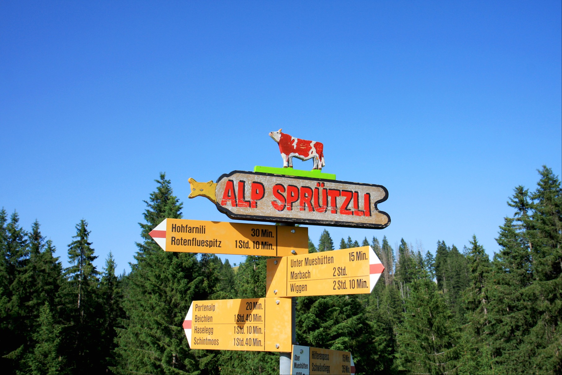 Dert, wo es chüeus Wässerli sprützt