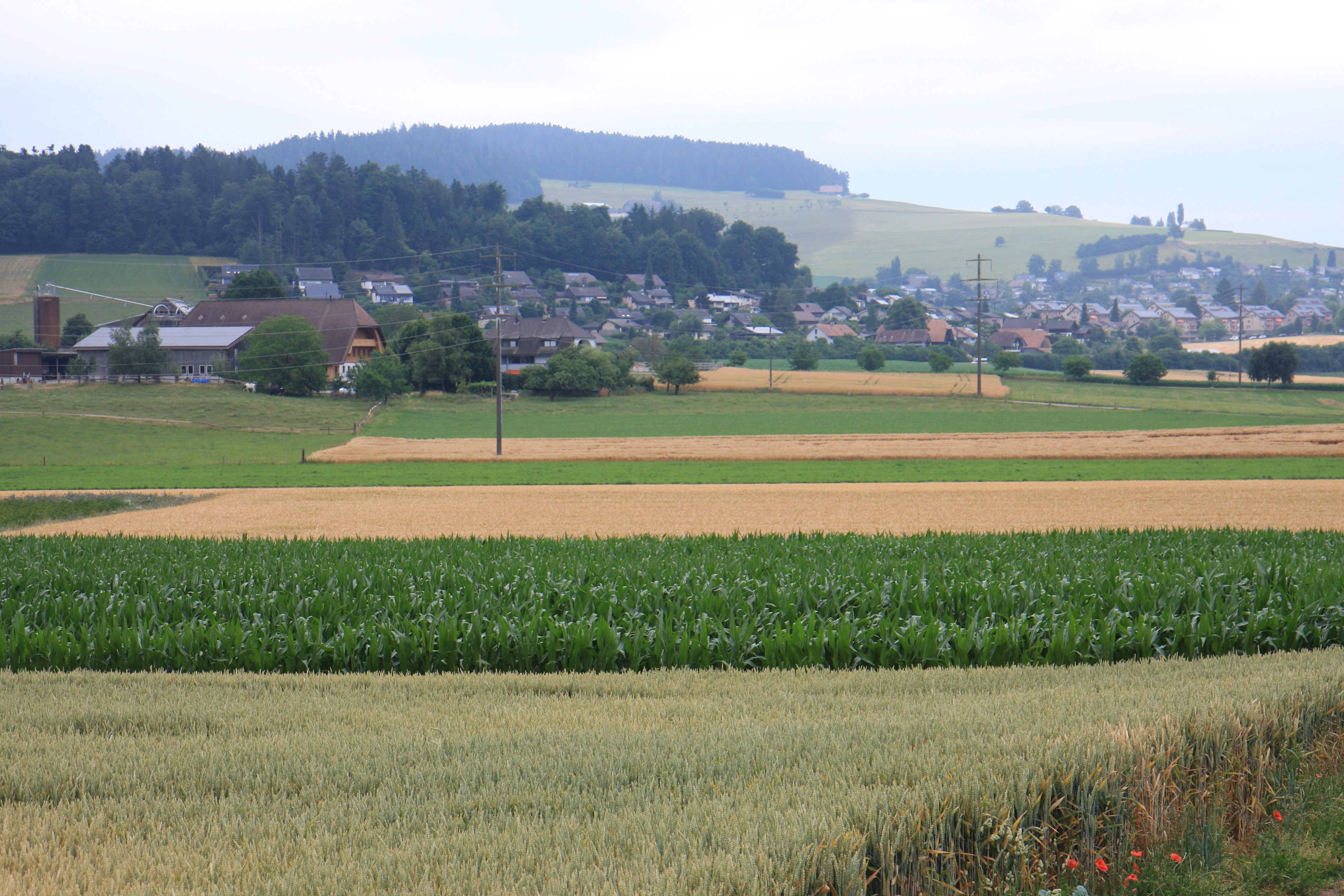 Dass de ja niemmer i d Bünde geit!