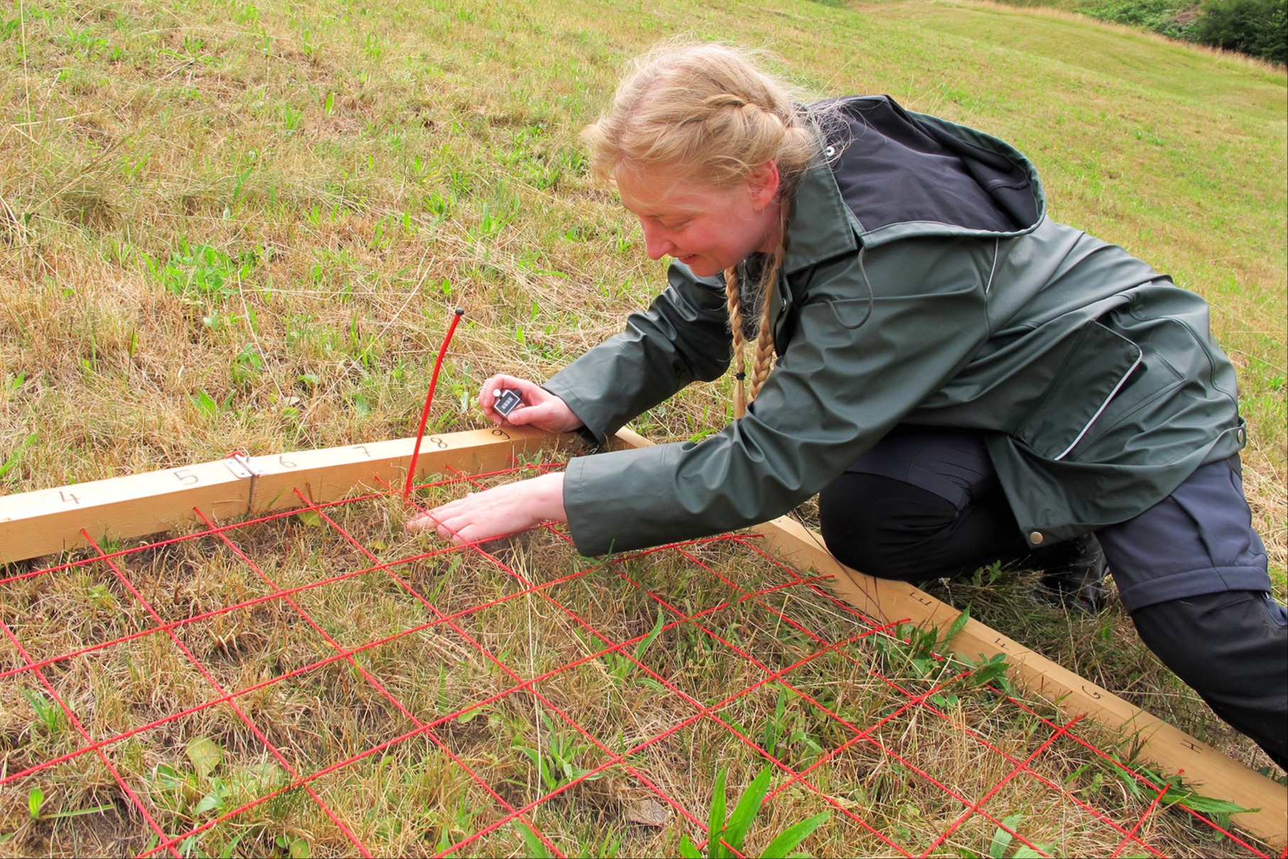 Beeinflusst die Bewirtschaftung die Verbreitung von Moosen?