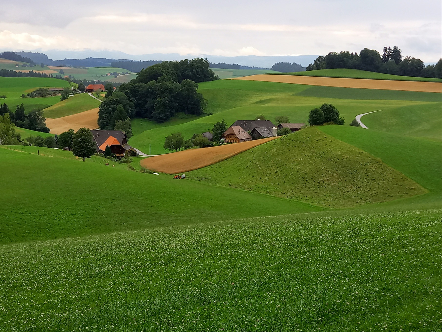 E Eehrig füre Gründer vor Siedlig