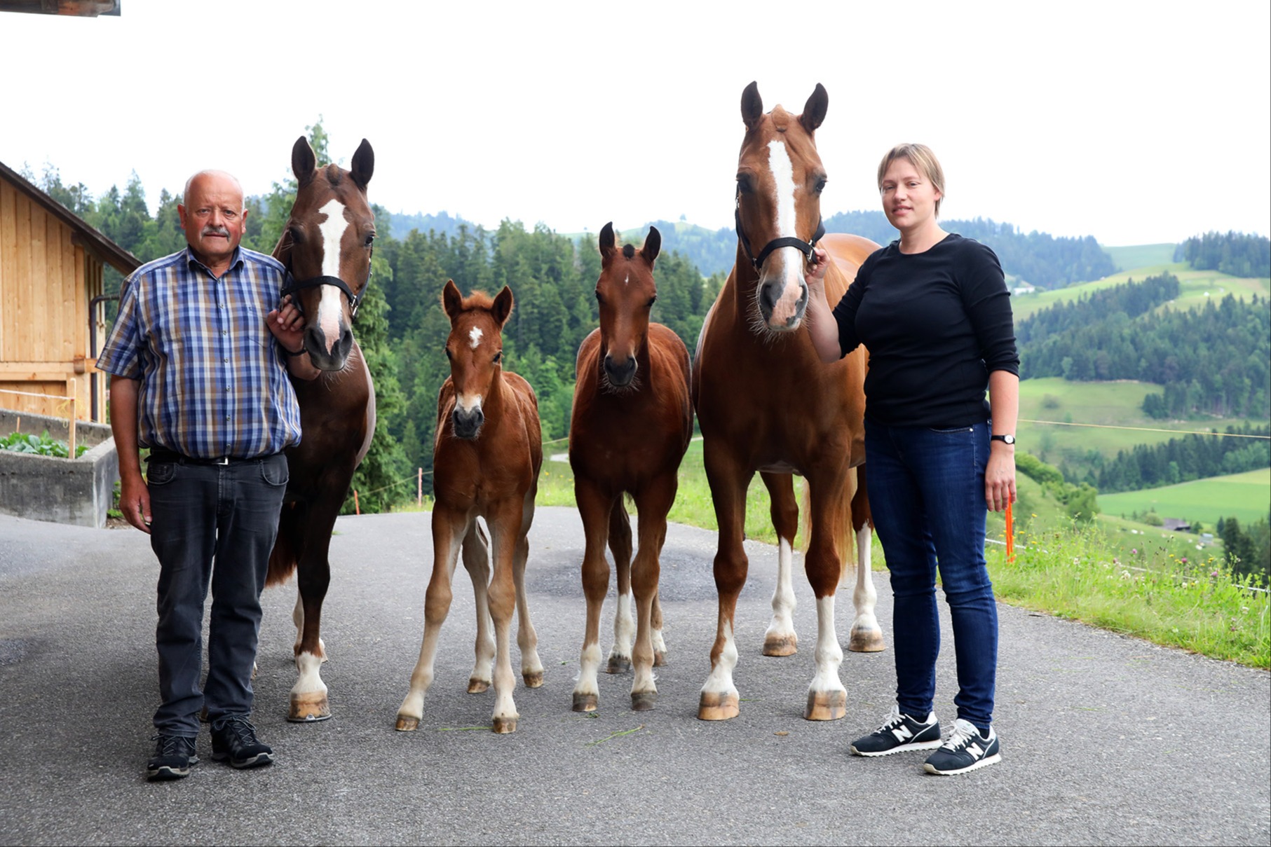 Mehr als ein Hobby - für ihn ist jede Geburt eines Fohlens ein Geschenk