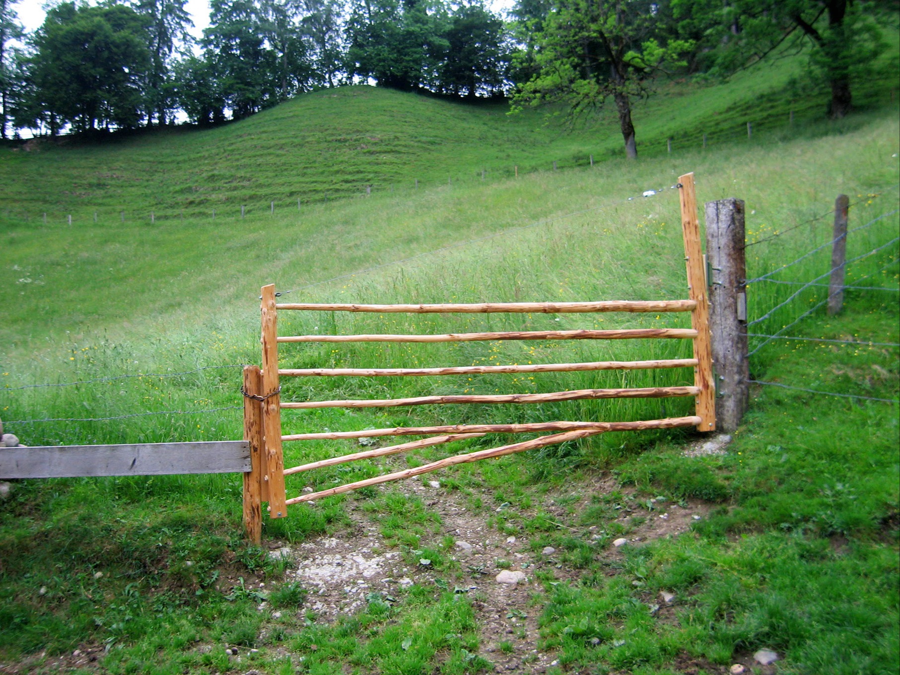 Aui Hurde gseh chly ähnlech us