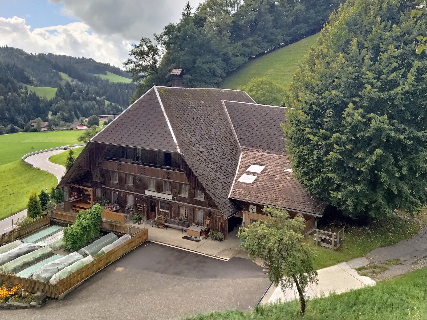 Spezieui Böim mit spezieue Frücht