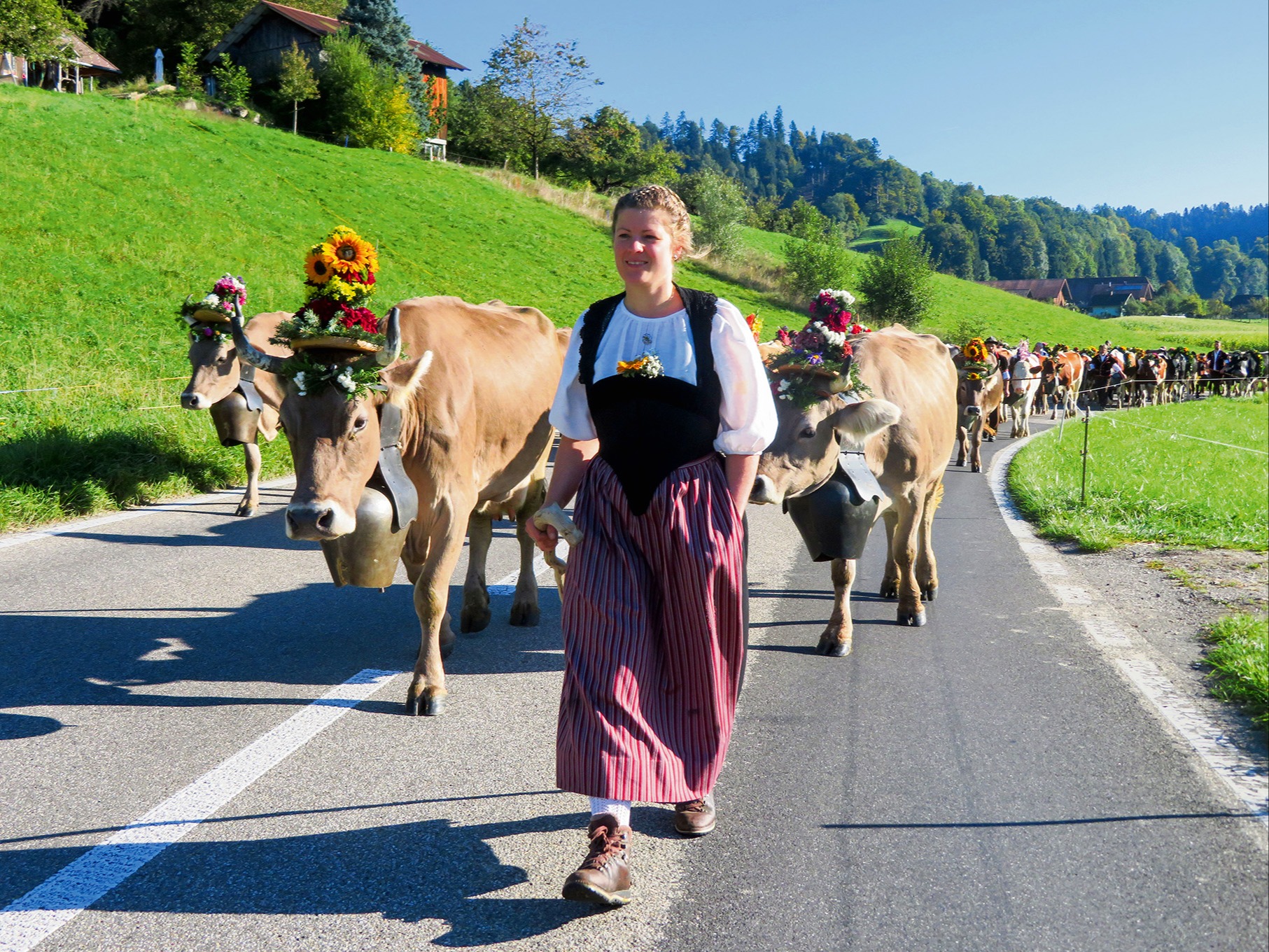Die Emmentaler Alpabfahrt avanciert zum Publikumsmagnet