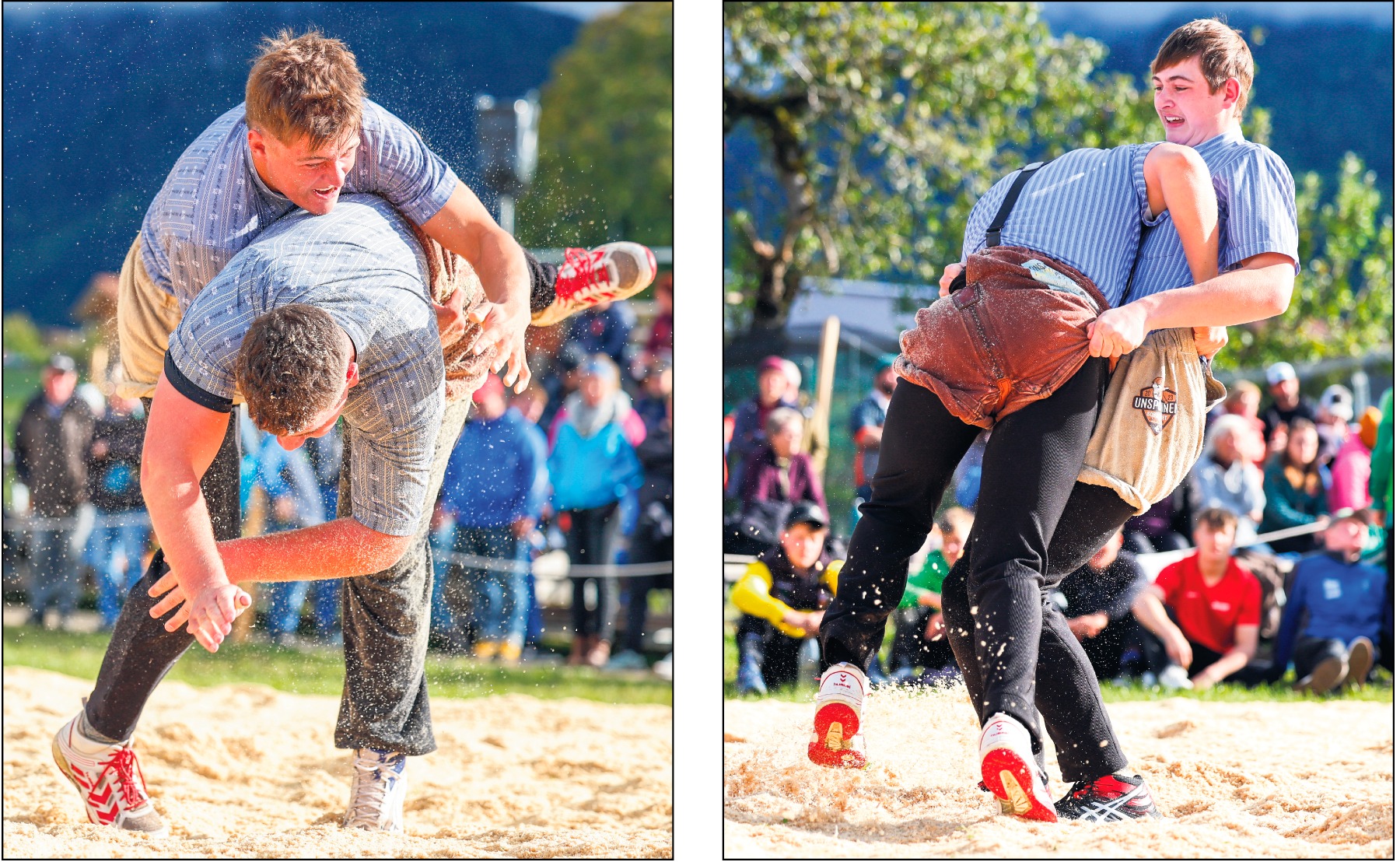 Zwei Brüder stehen ganz oben