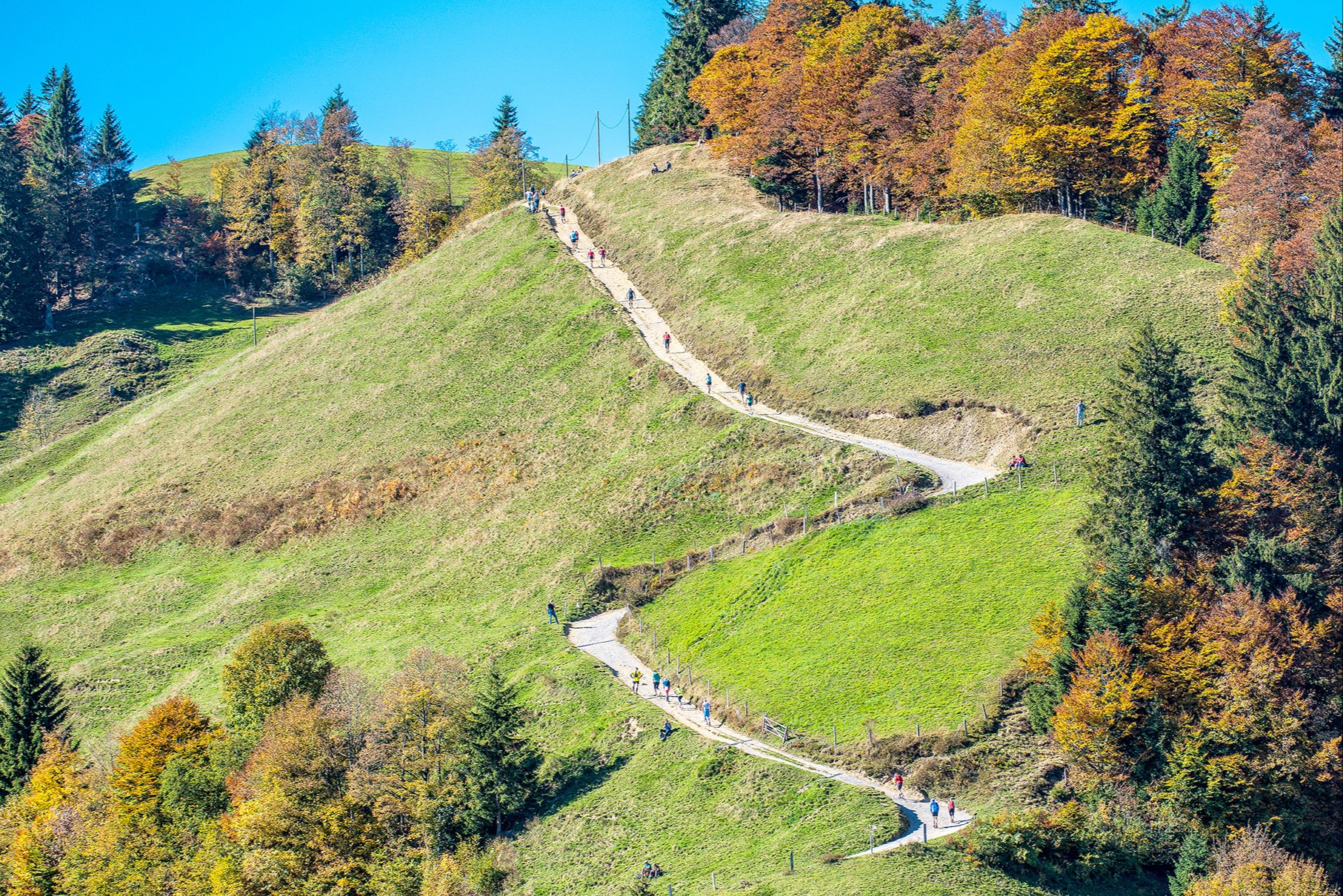 Trotz Laufboom: Neulinge wagen  sich kaum an den Napf-Marathon 