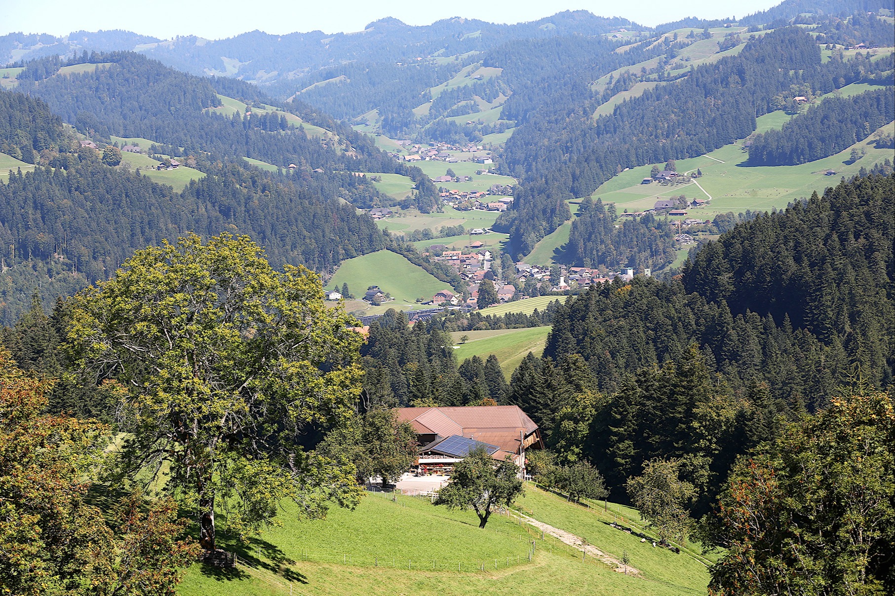 Grad sövu strub isch die Sach de gar nid